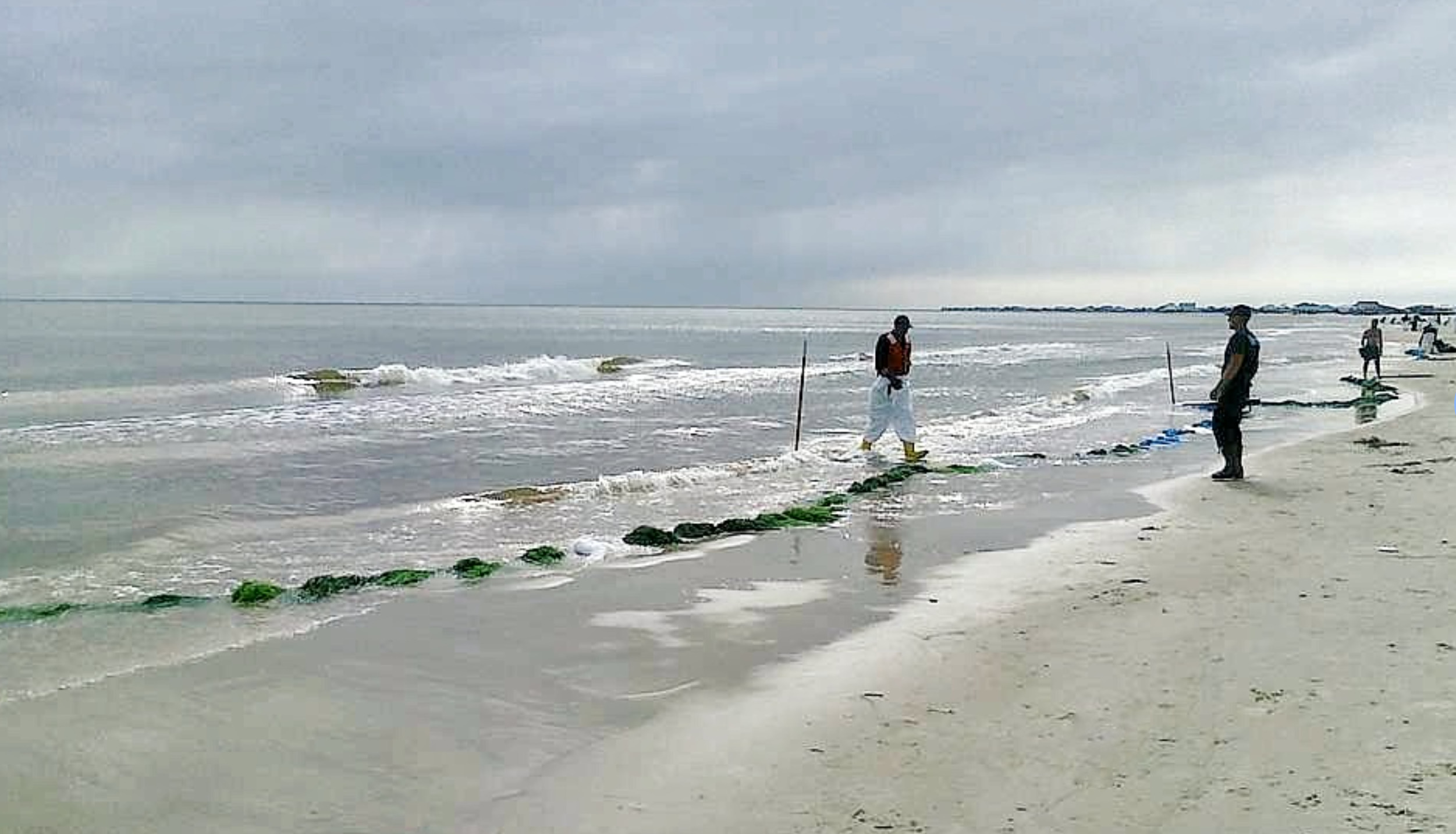 dauphin island alabama beach