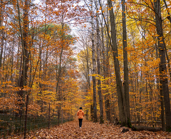 Shenandoah Valley fall foliage peak colors October