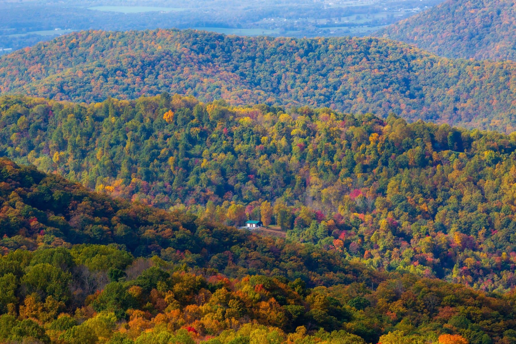 Skyline Drive fall foliage Virginia