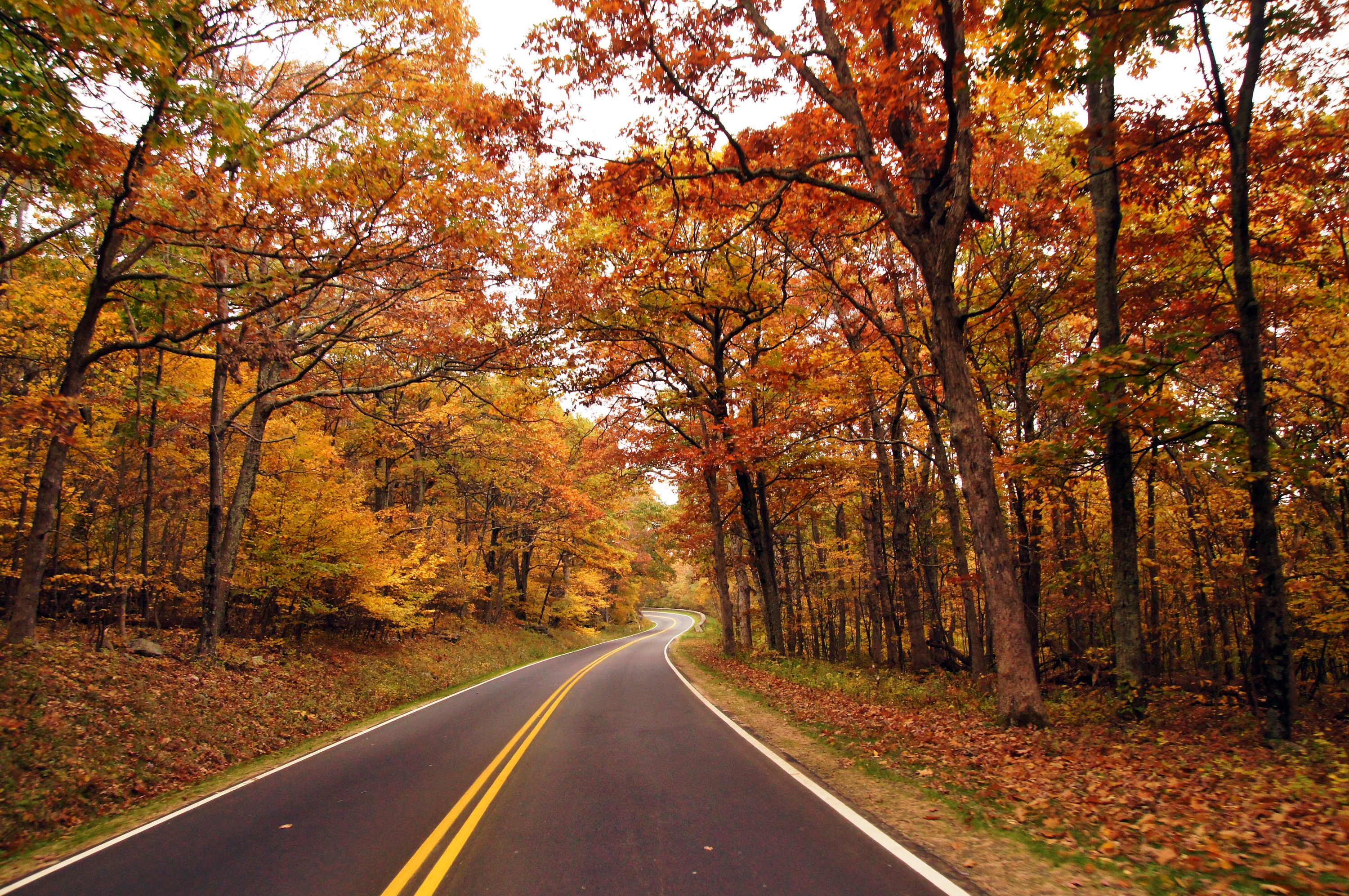 Shenandoah hiking fall foliage