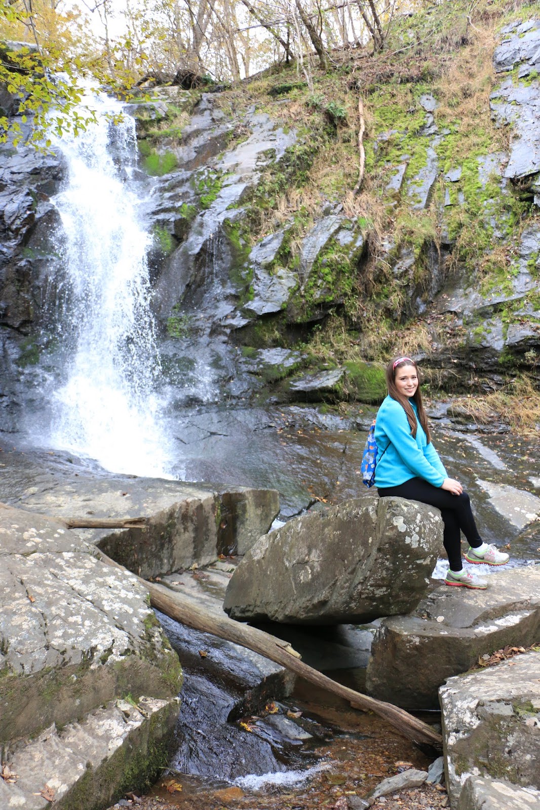 Jones Run Falls Shenandoah