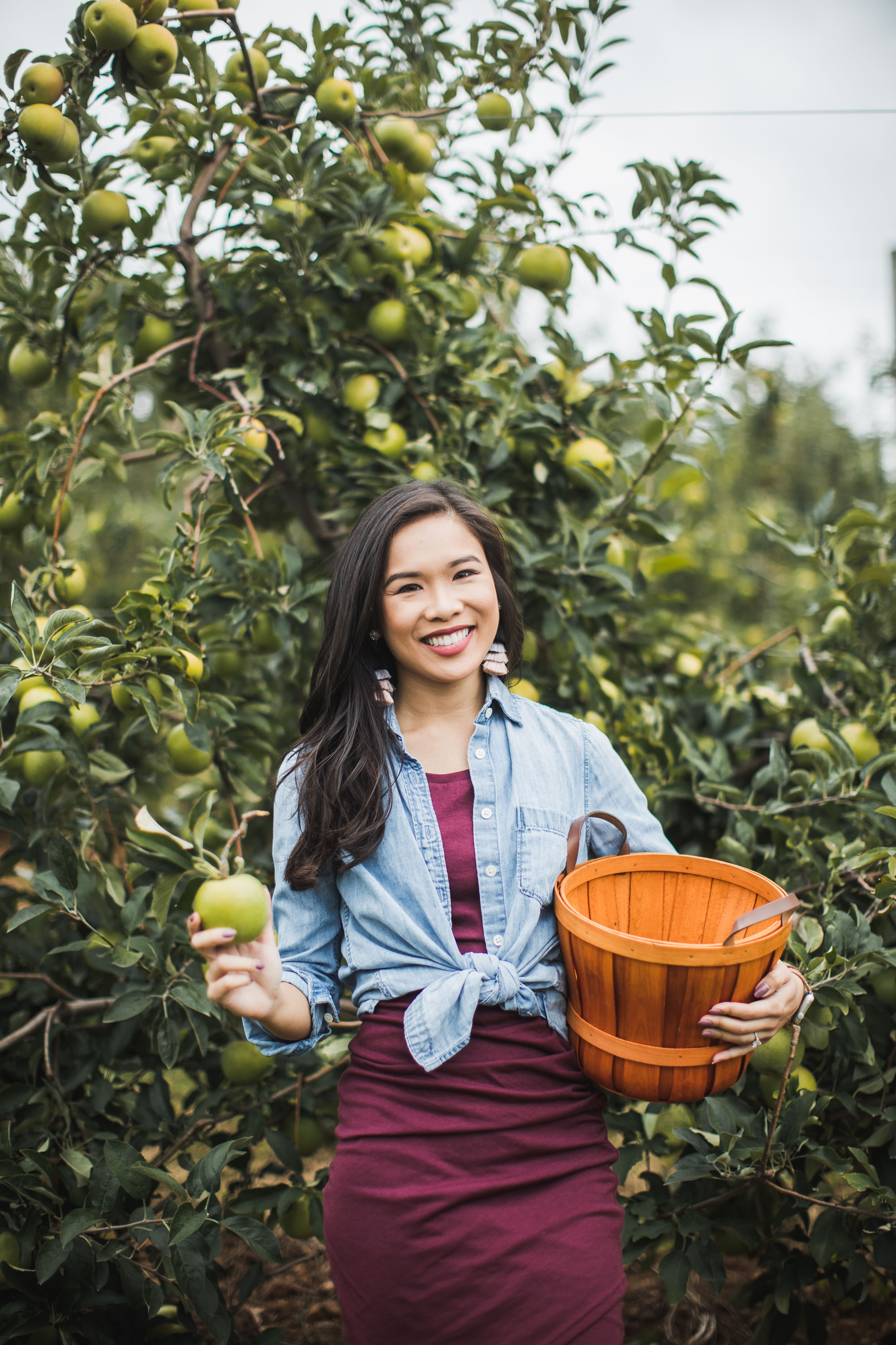 apple picking orchard fall foliage virginia