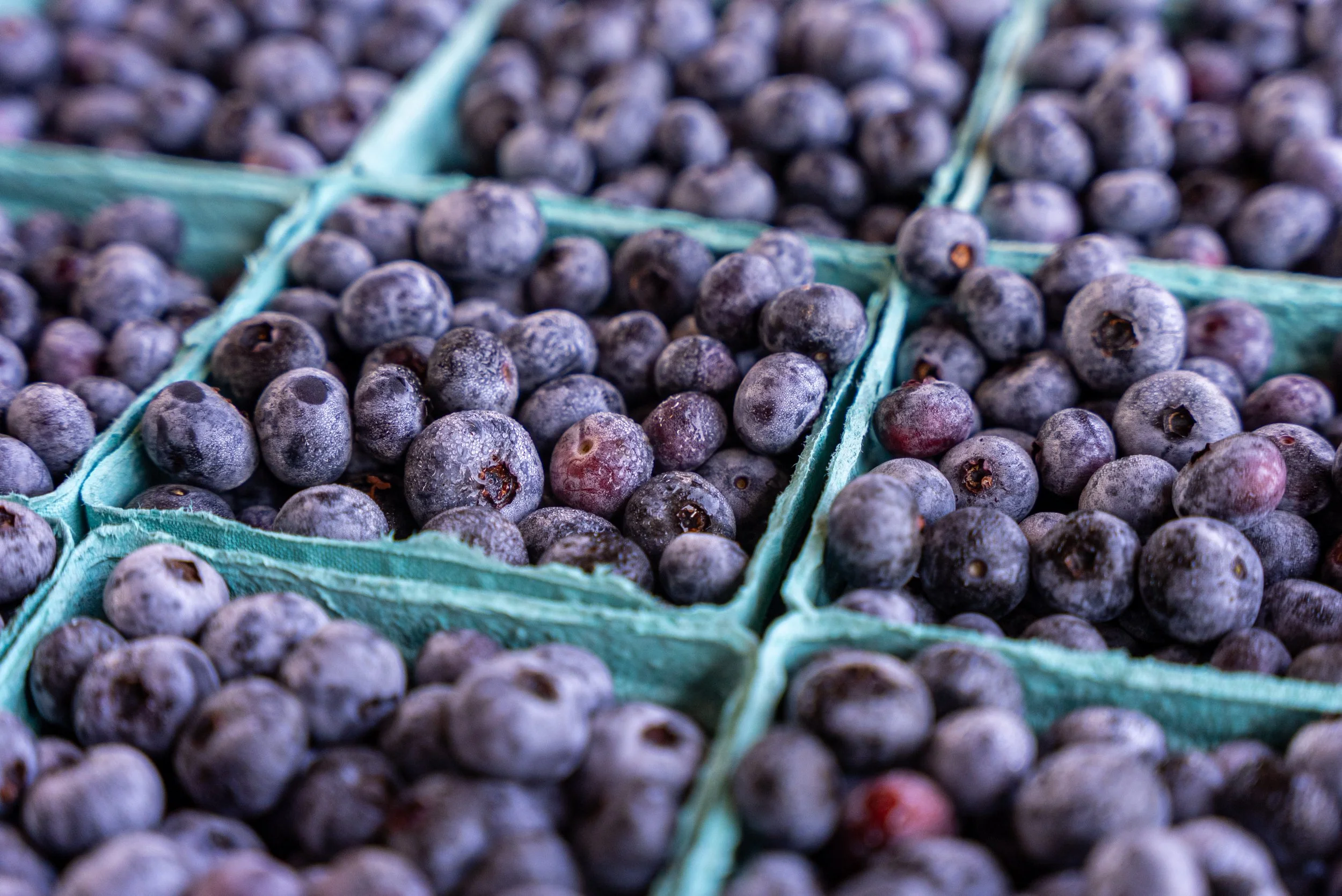Harrisonburg farmers market fall produce