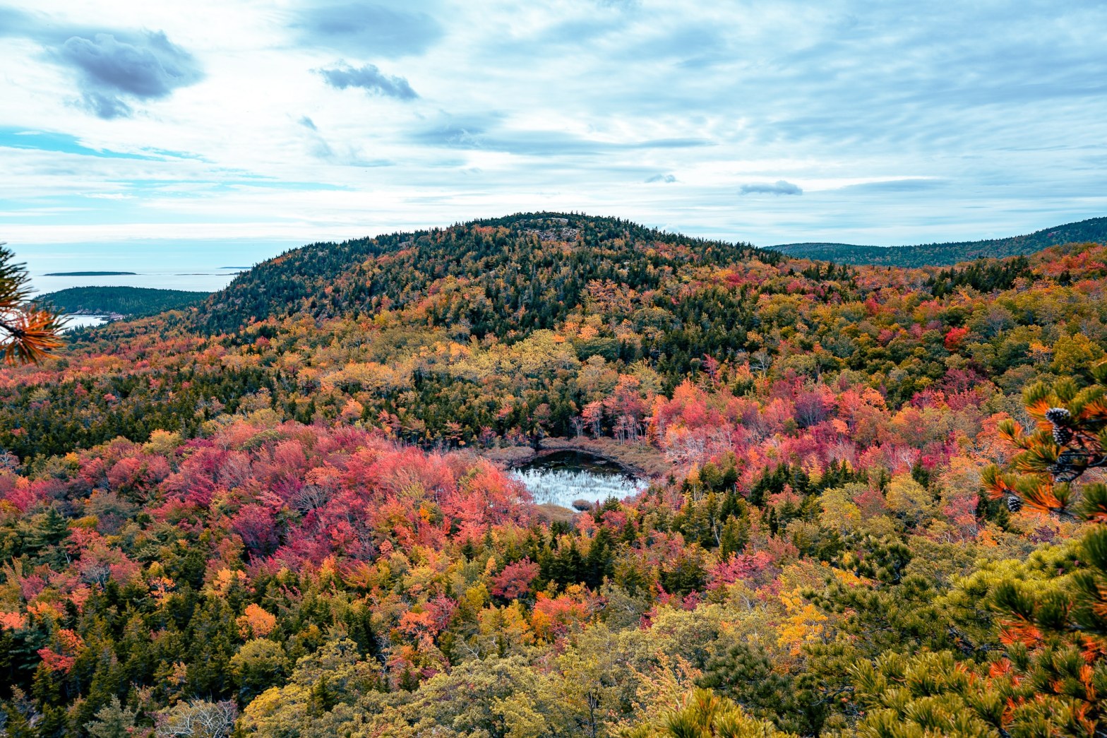 acadia national park in fall