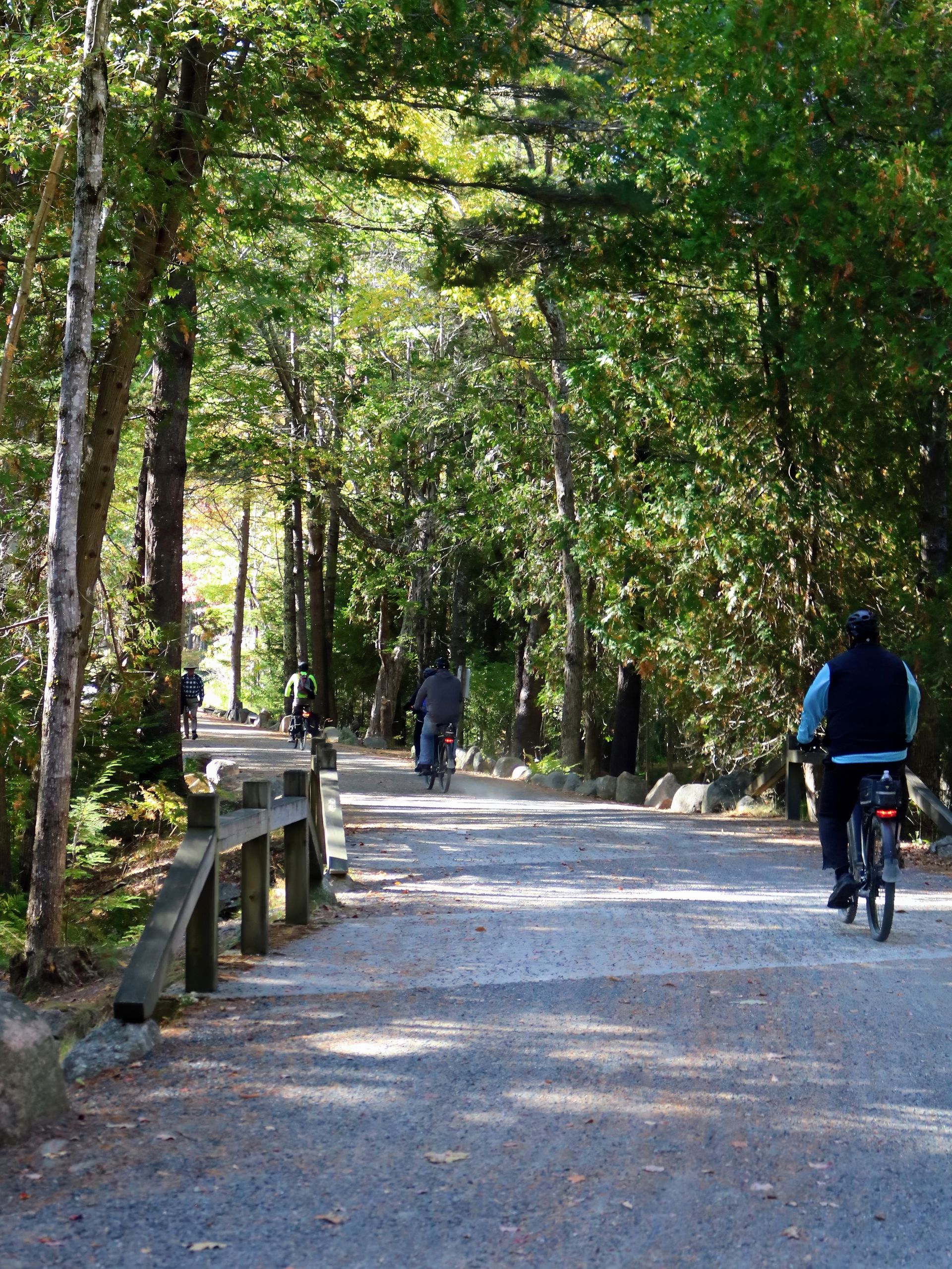 Acadia carriage roads fall foliage bikes