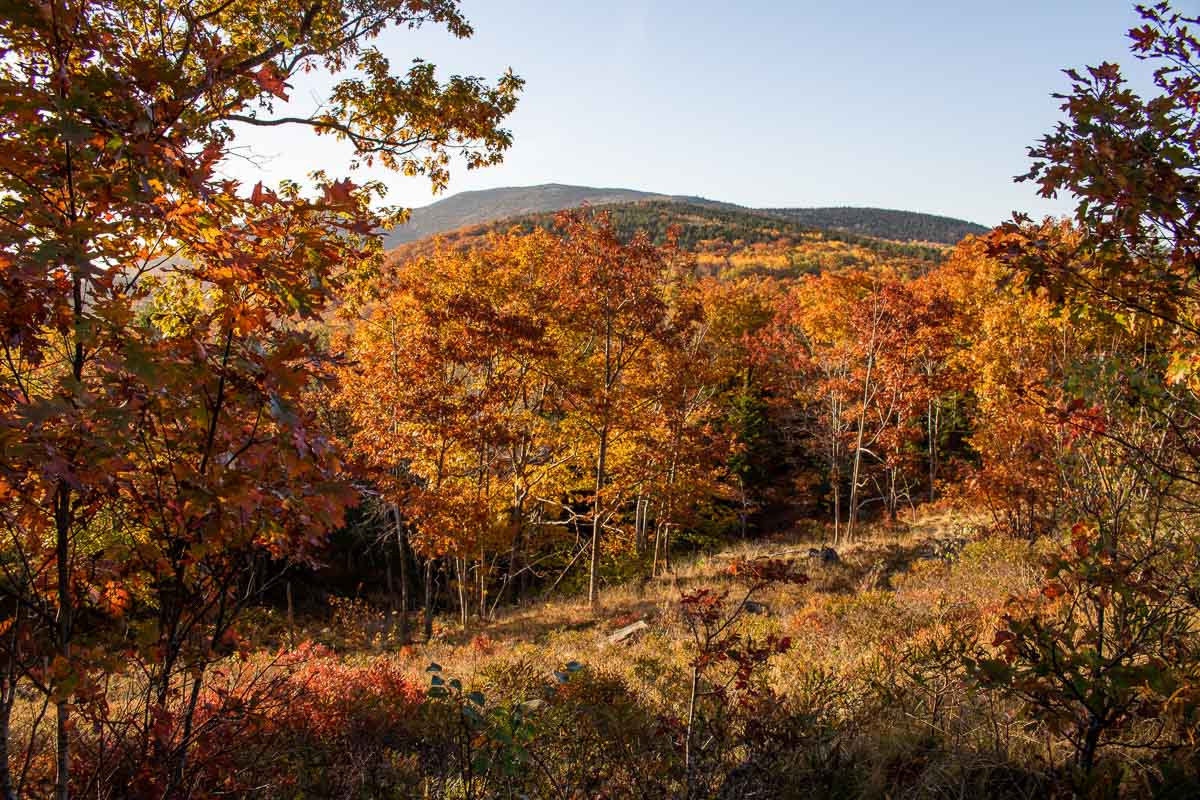 Acadia National Park fall foliage scenic drive