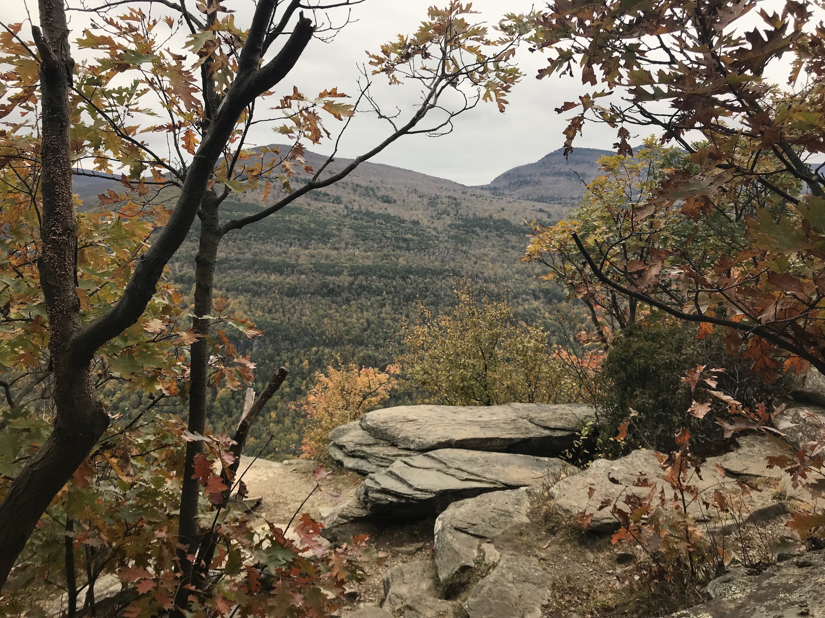 Huckleberry Point Trail Catskills fall foliage