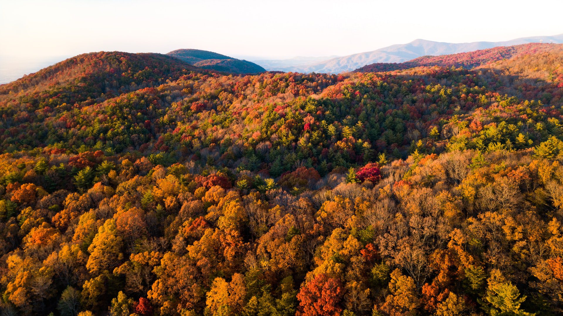 Windham Mountain fall foliage skyride