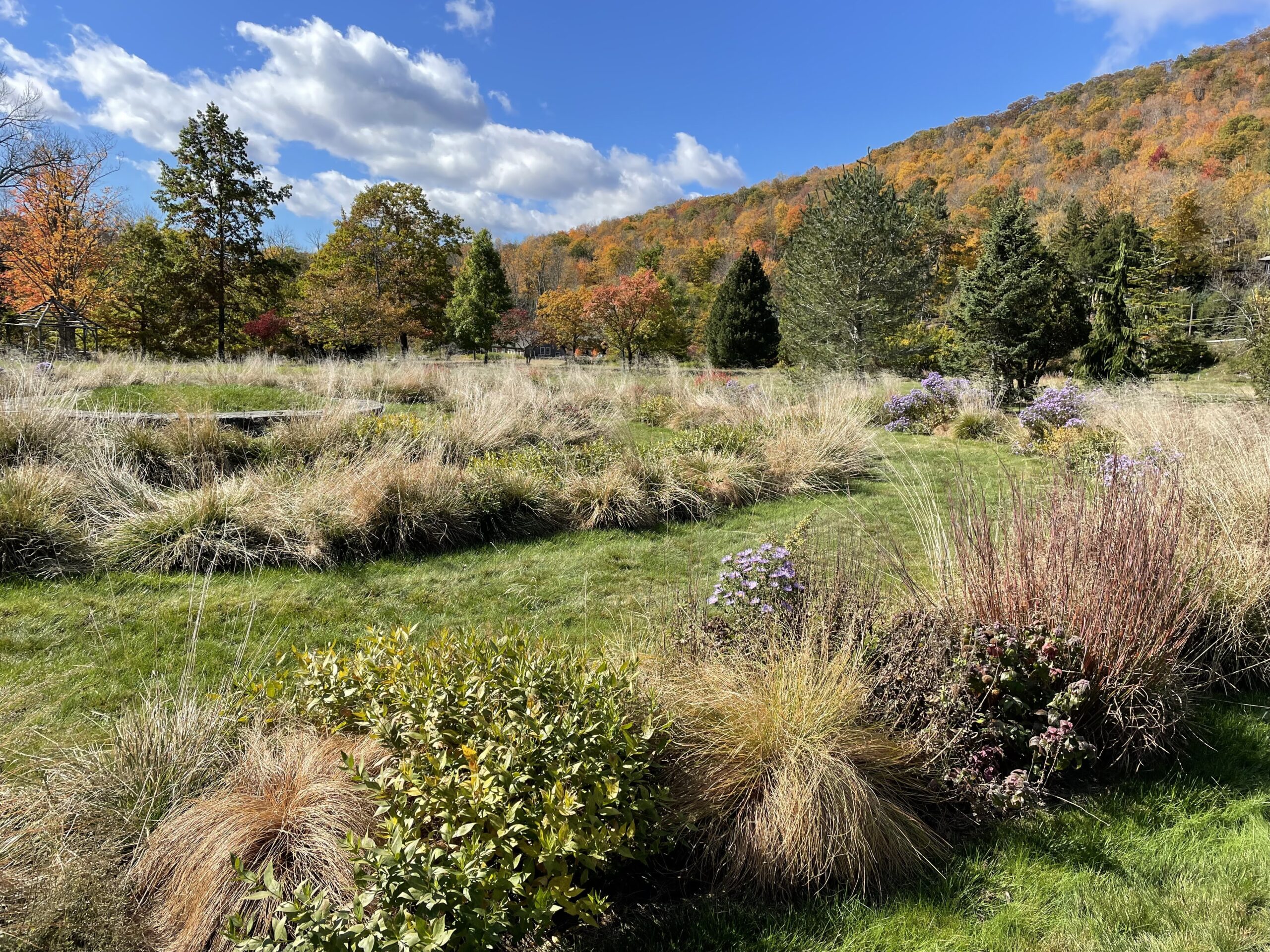 Mountain Top Arboretum fall trails Tannersville