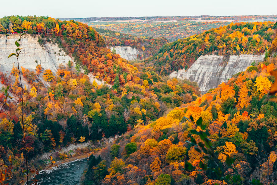 finger lakes fall foliage peak season