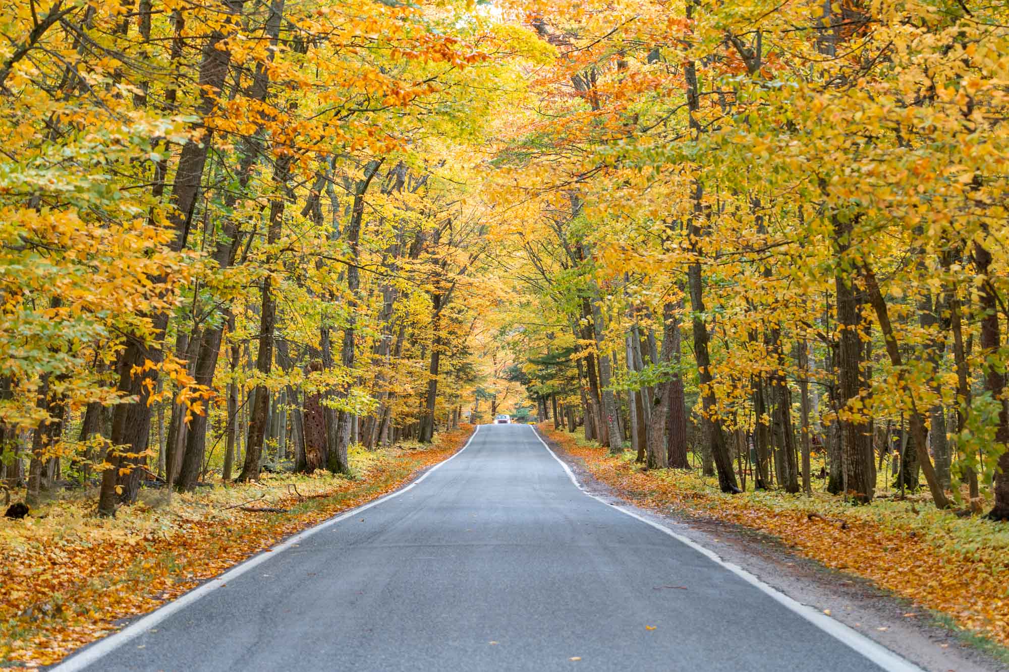 michigan fall foliage road trip