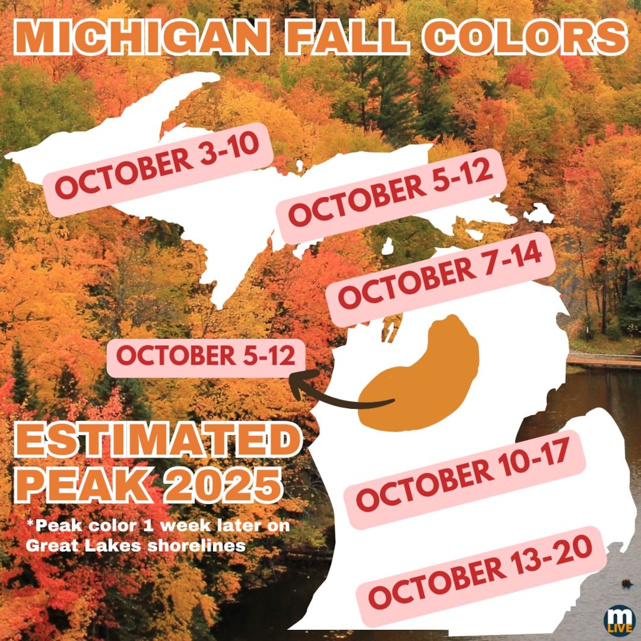 michigan fall foliage peak colors trees
