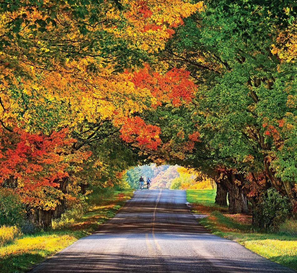 Mackinaw City Michigan fall foliage