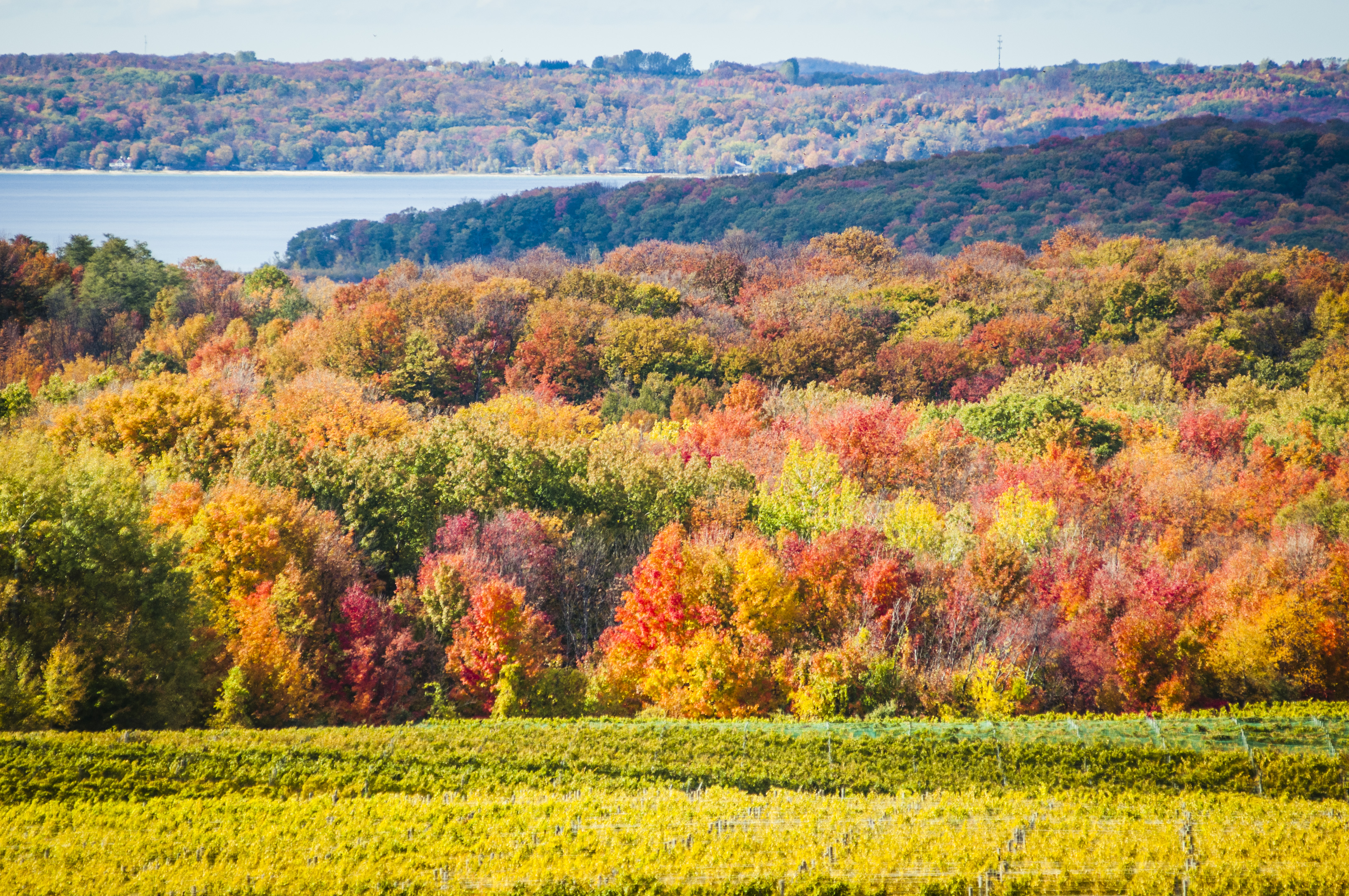 Traverse City Michigan fall colors downtown