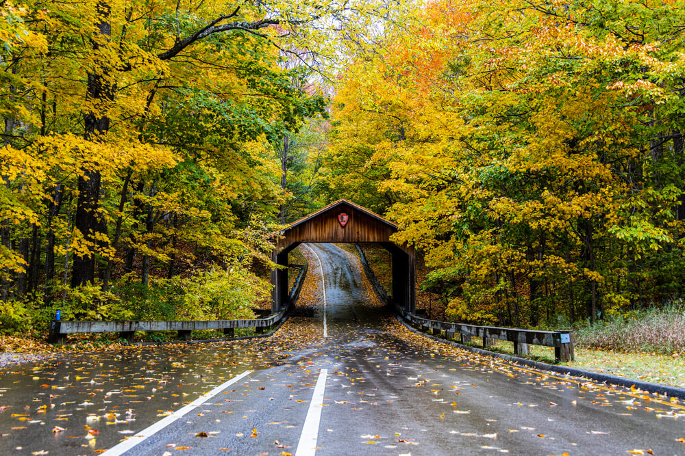 Suttons Bay Leland Michigan fall foliage