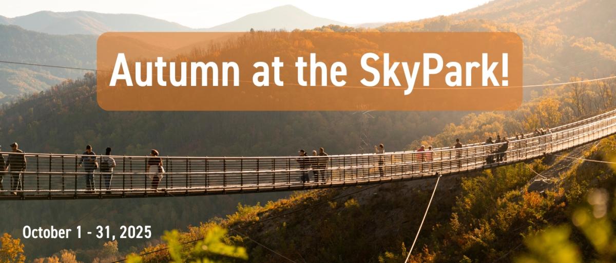Gatlinburg SkyPark Autumn fall foliage mountain views