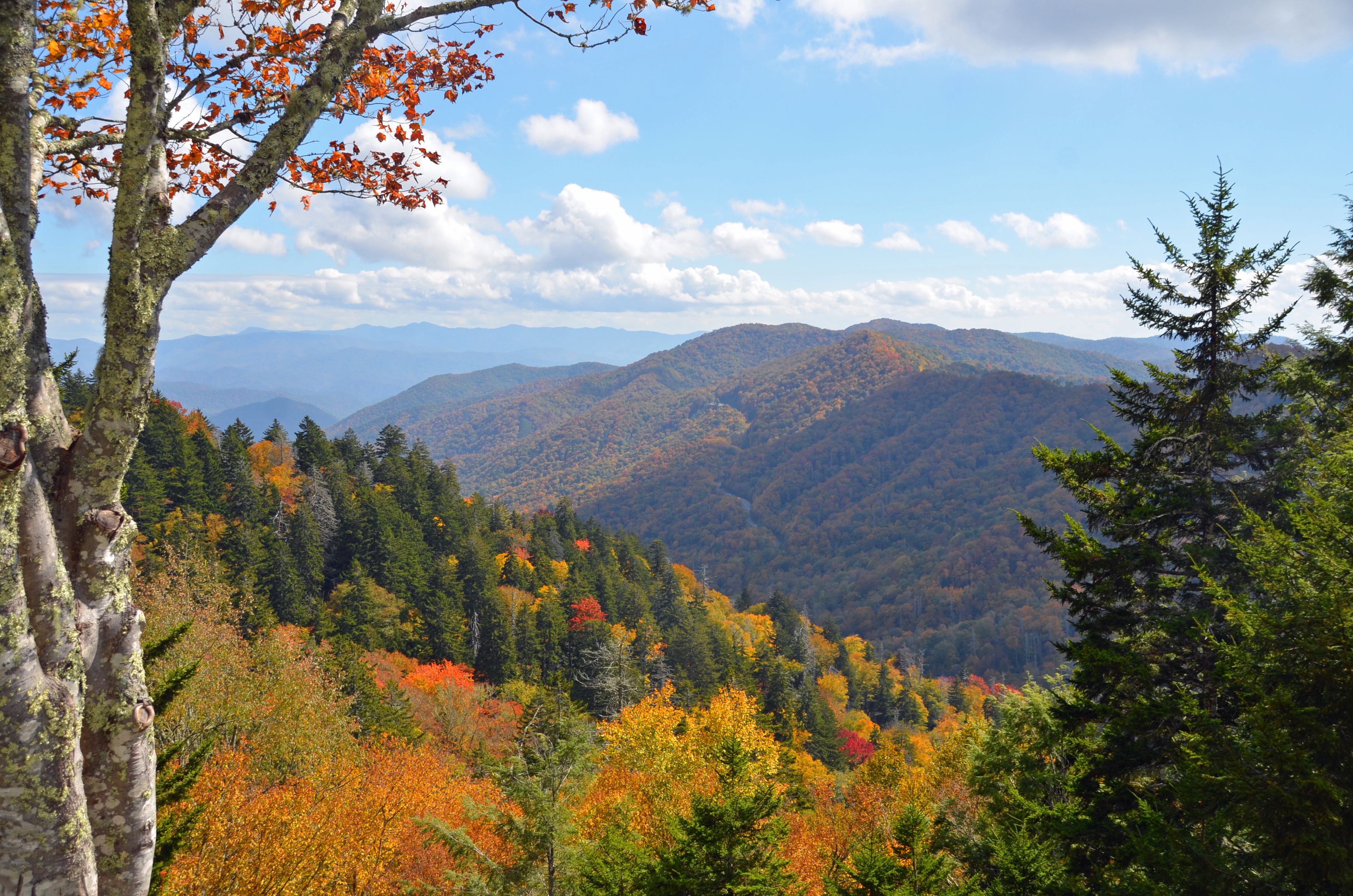Newfound Gap Road scenic drive