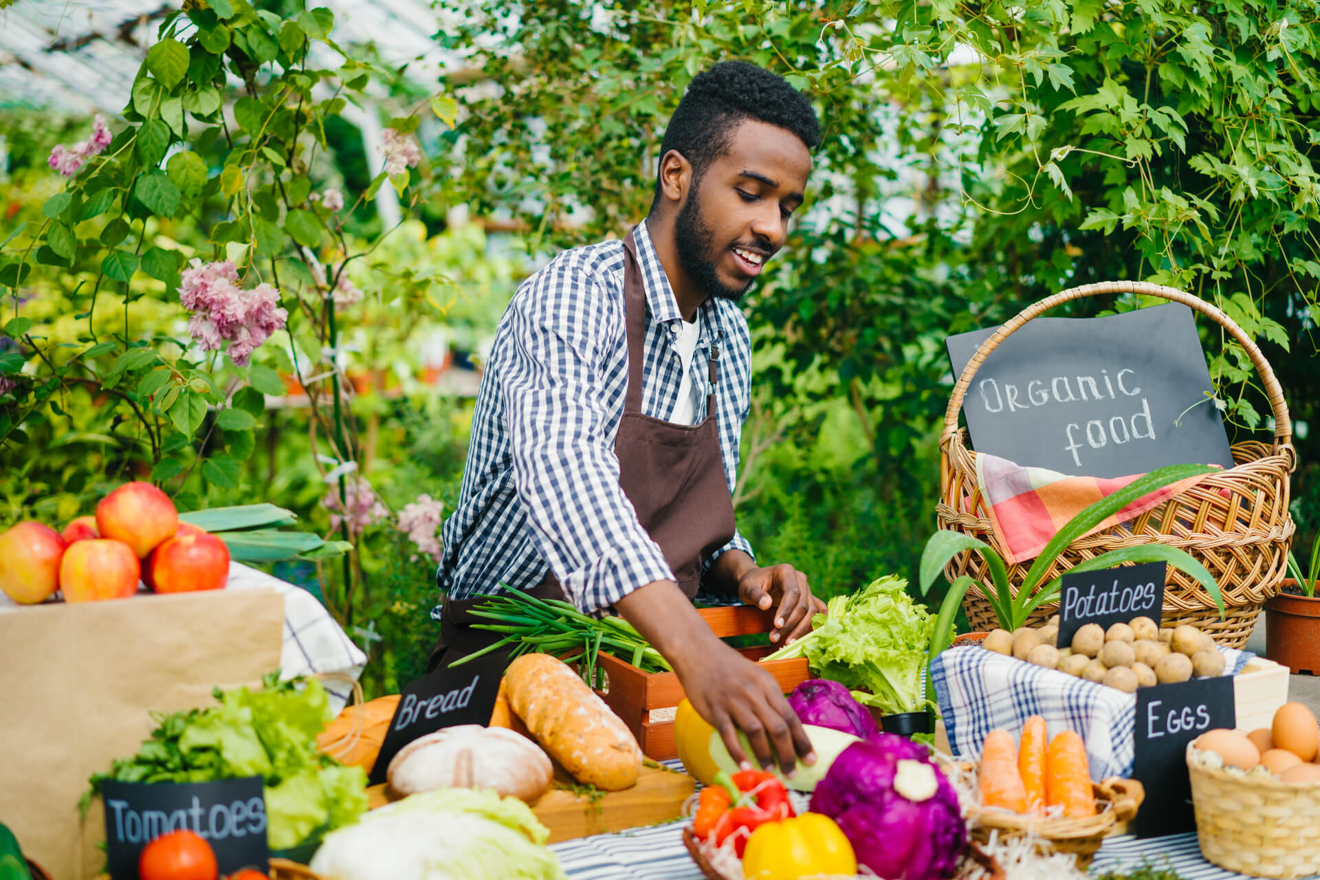 farmers market fall produce vendors