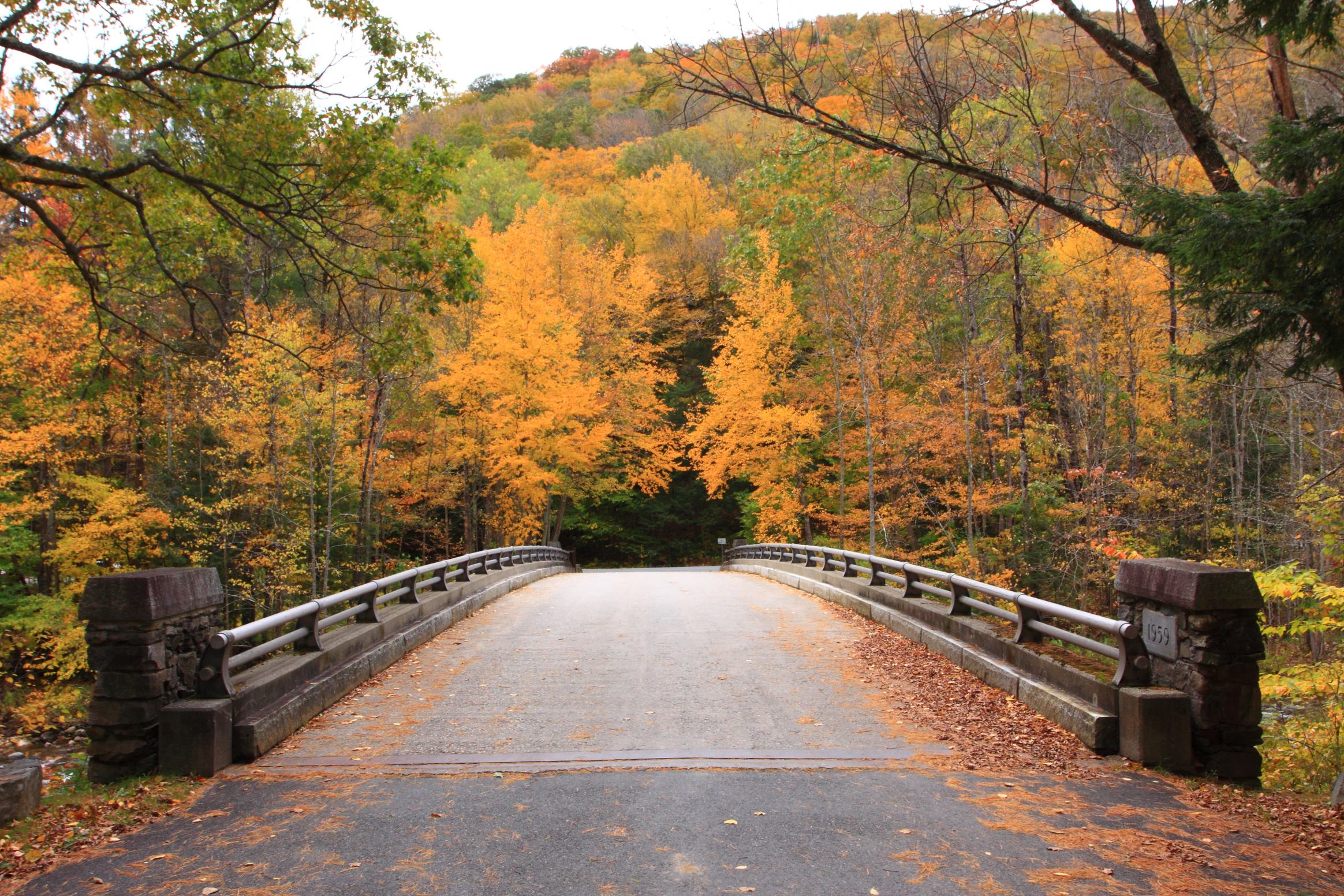 Mohawk Trail Massachusetts fall colors