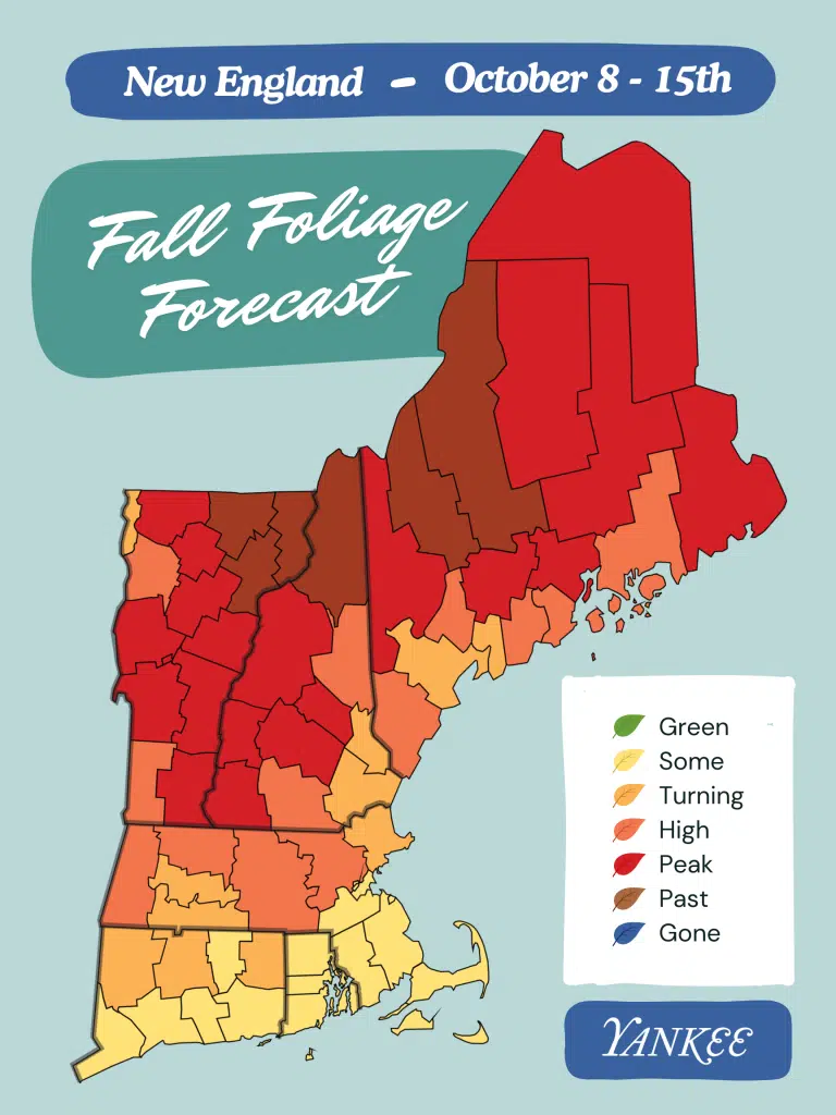 new england fall foliage peak colors