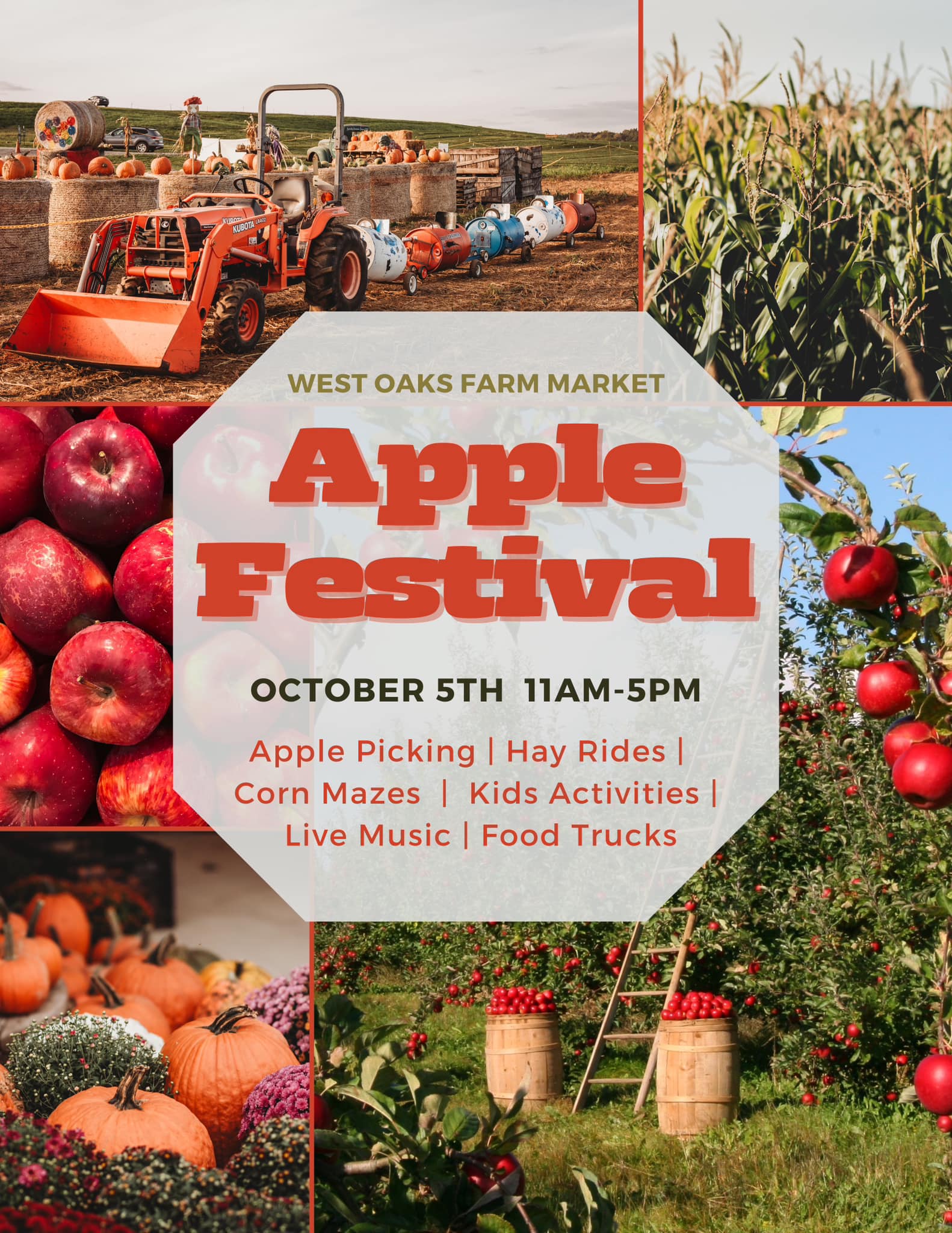 apple picking season USA fall harvest