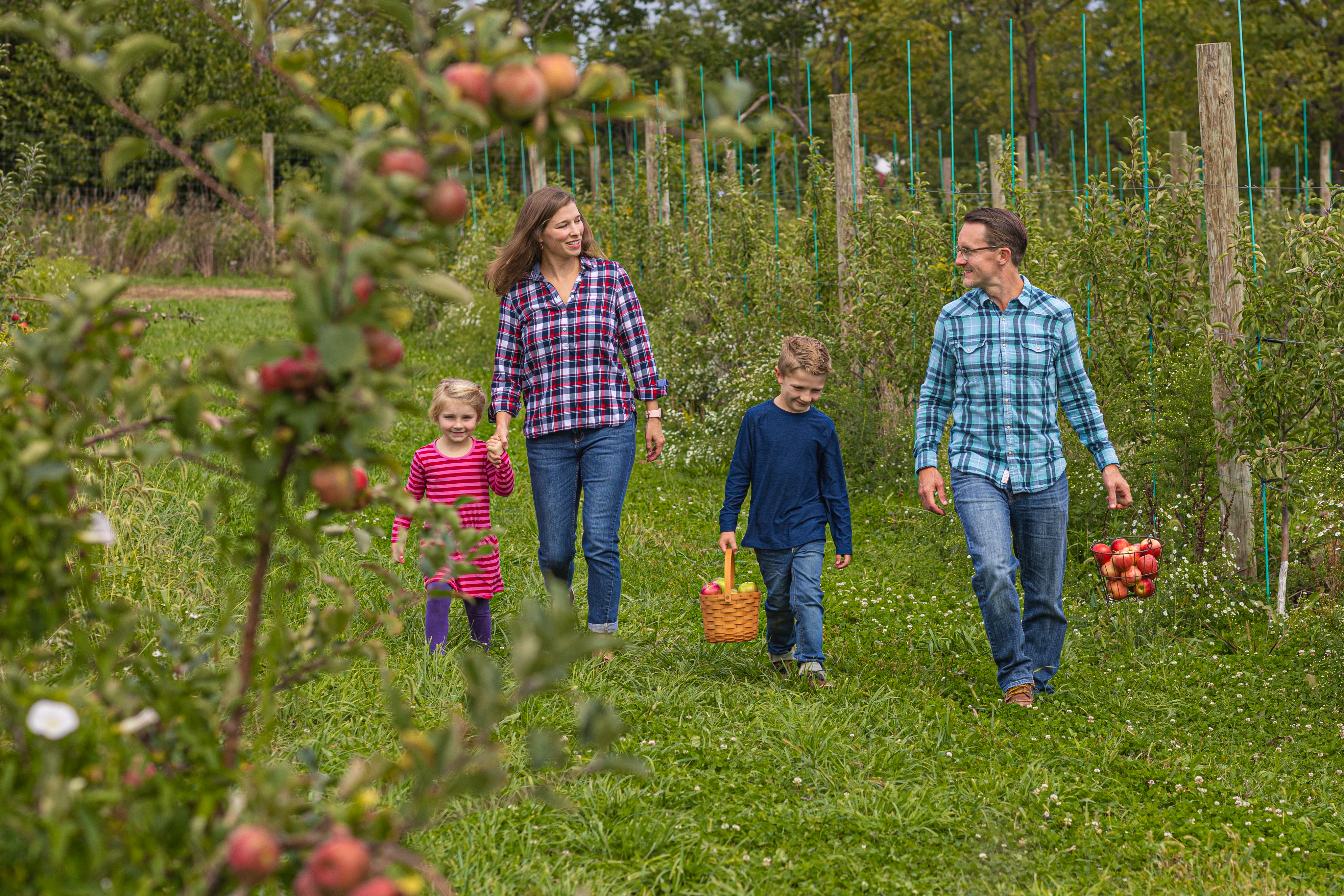 family apple picking orchard