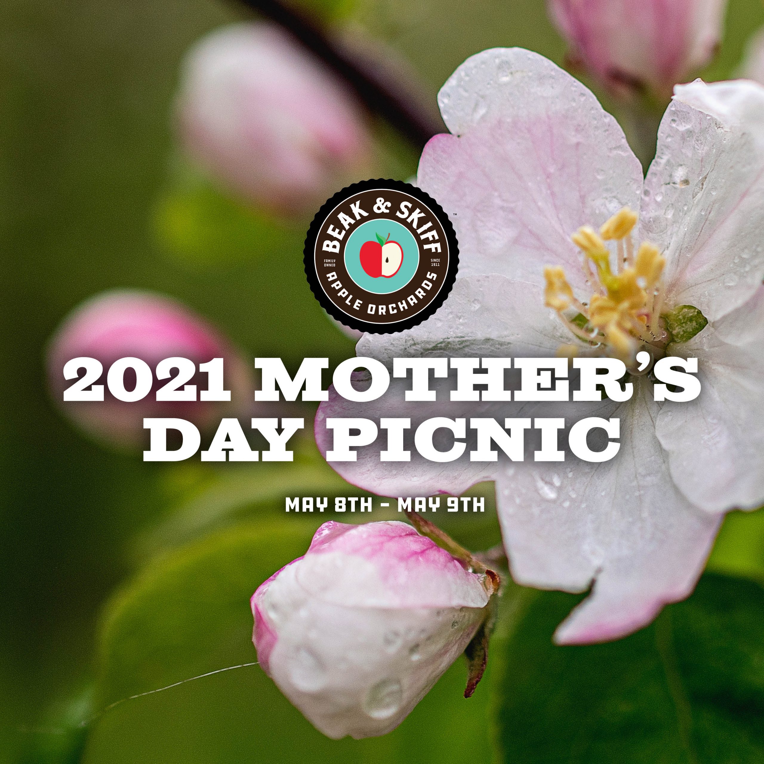 apple picking picnic orchard