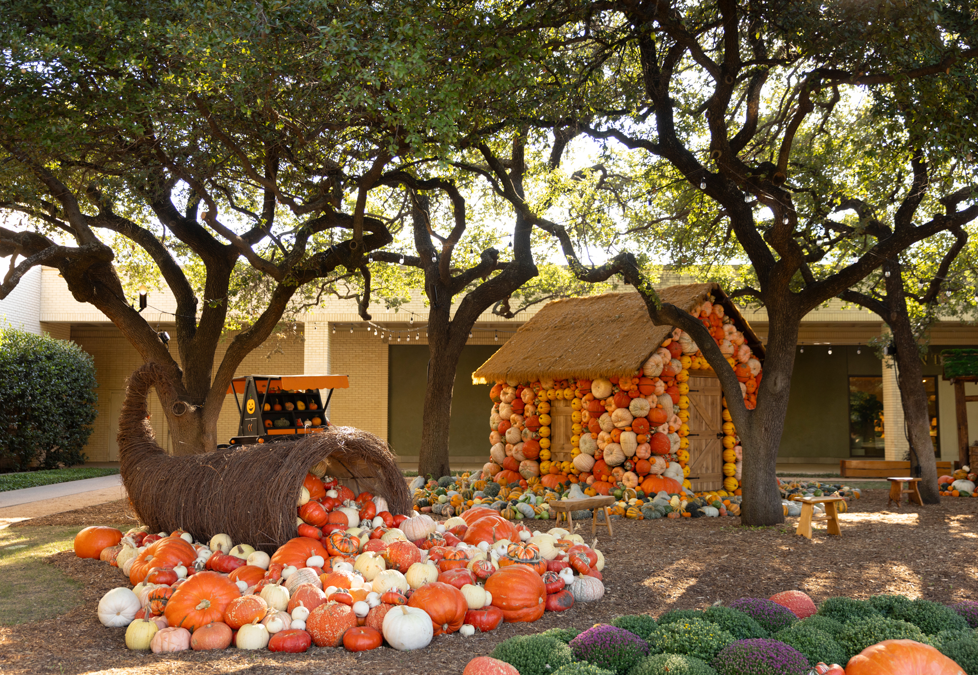 pumpkin patch family activities fall
