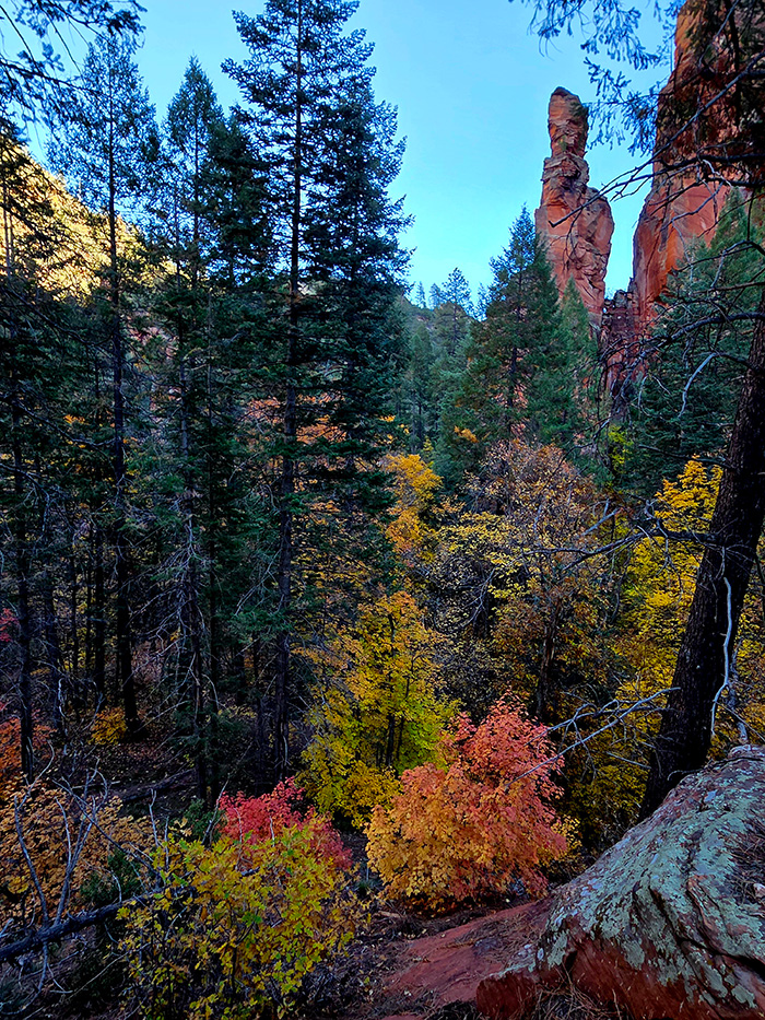oak creek canyon fall foliage