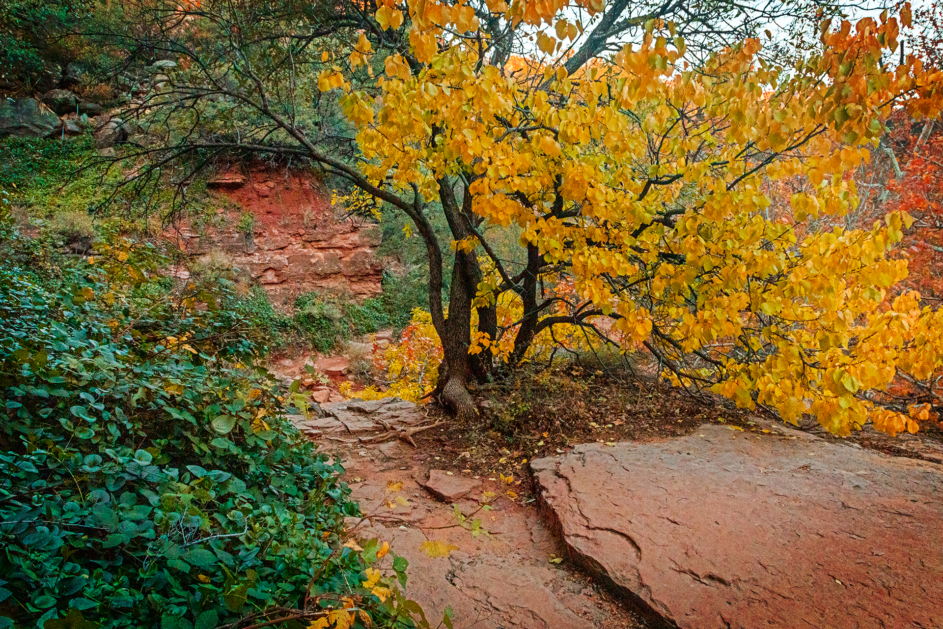 slide rock state park autumn
