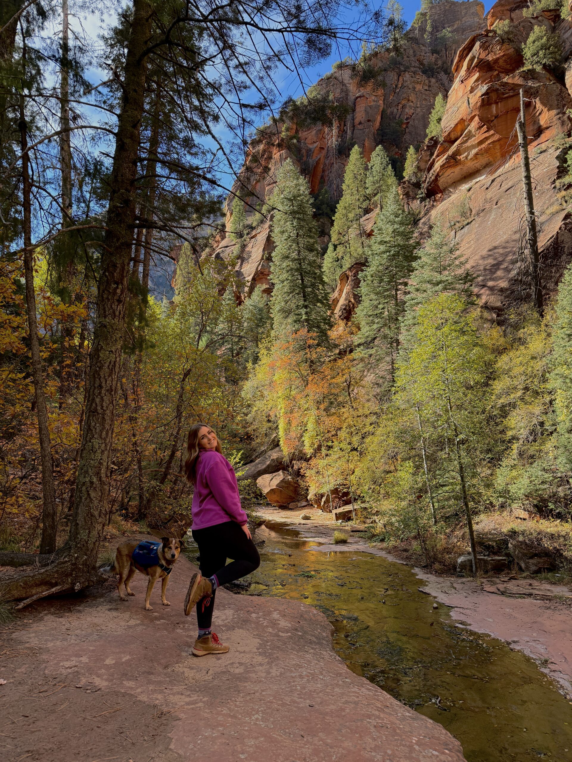 West Fork Trail Sedona fall colors