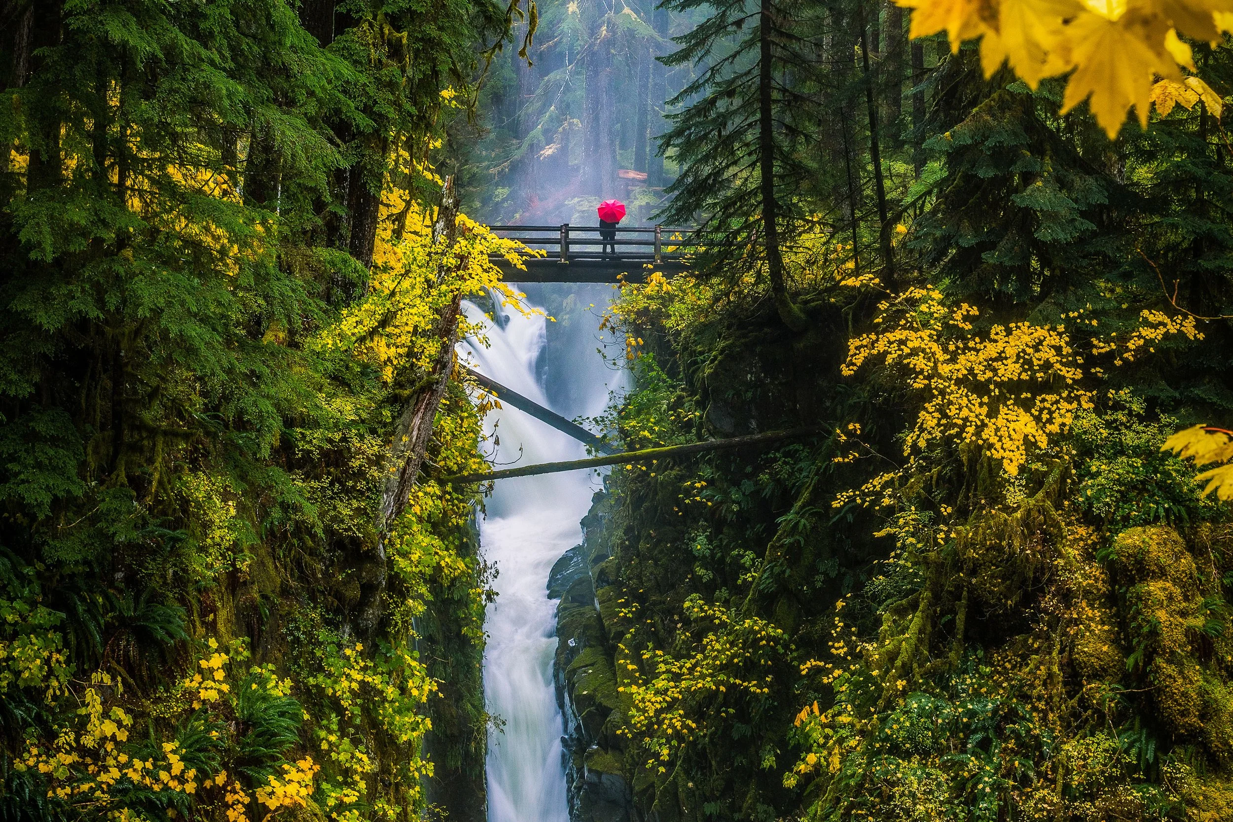 Olympic Peninsula fall foliage hiking