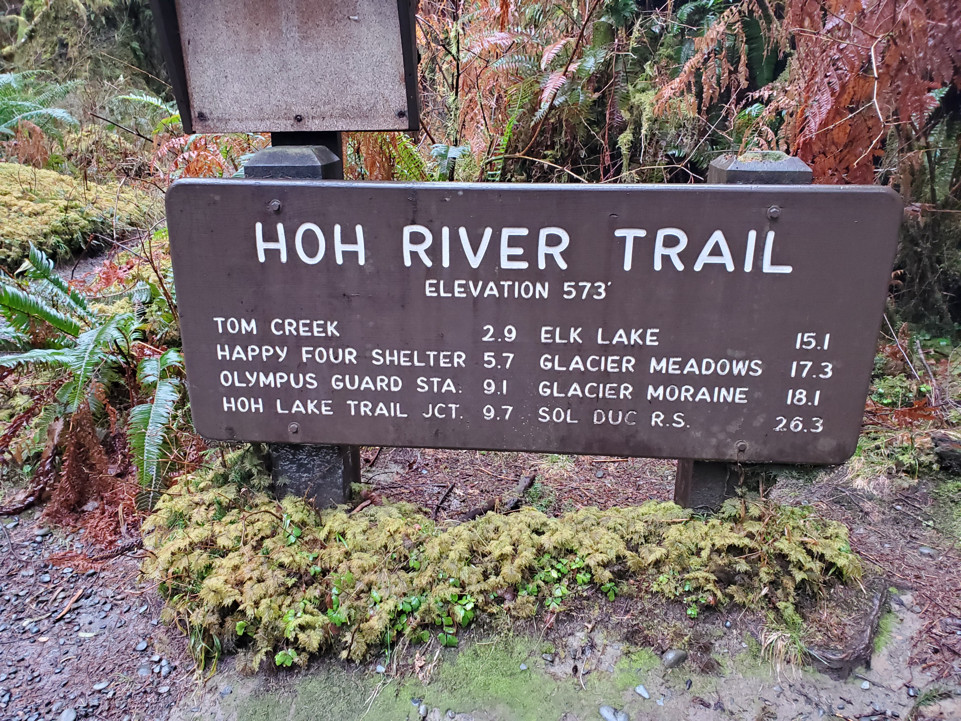 Hoh River Trail Five Mile Island
