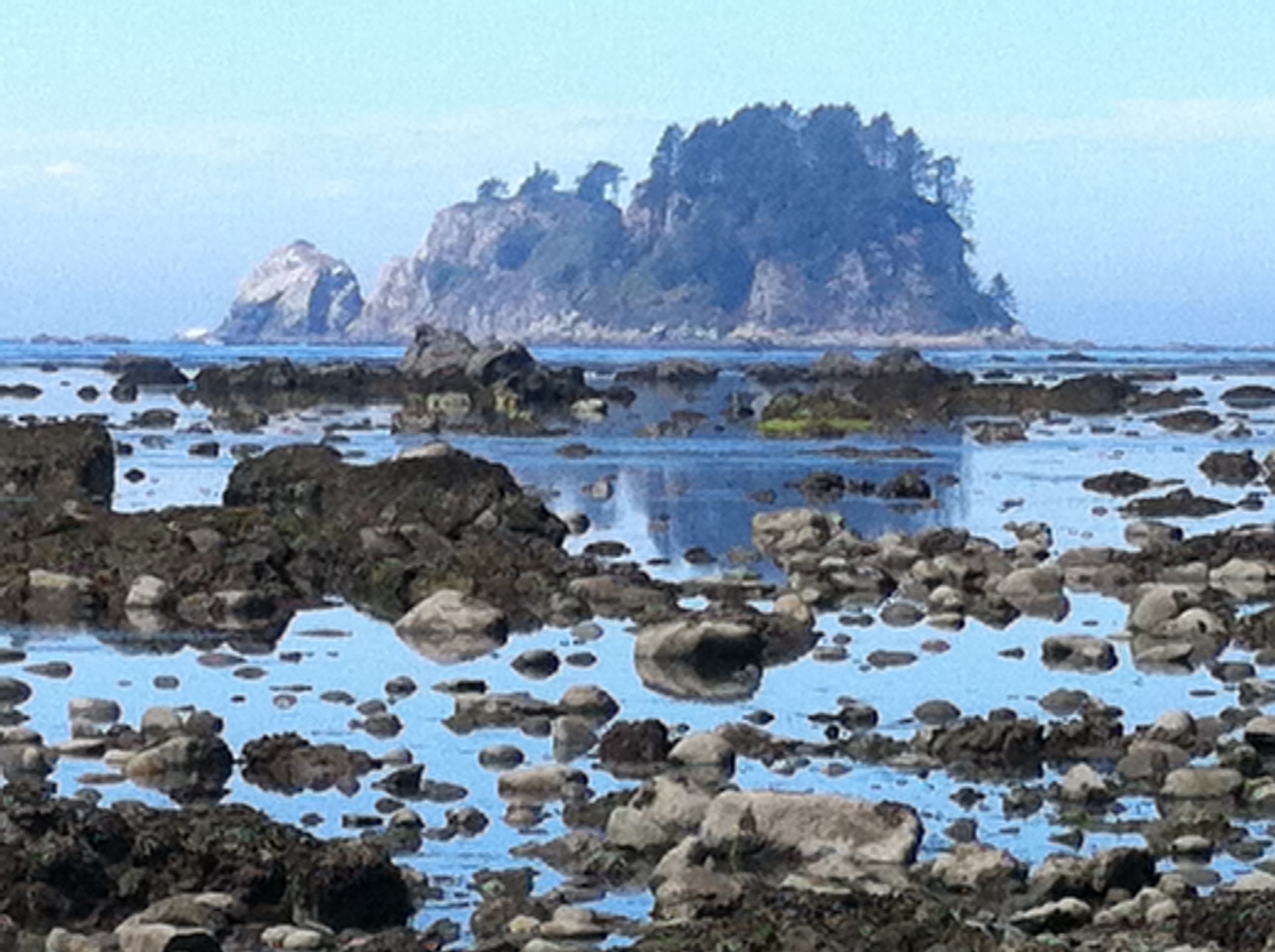 Ozette Triangle coastal trail