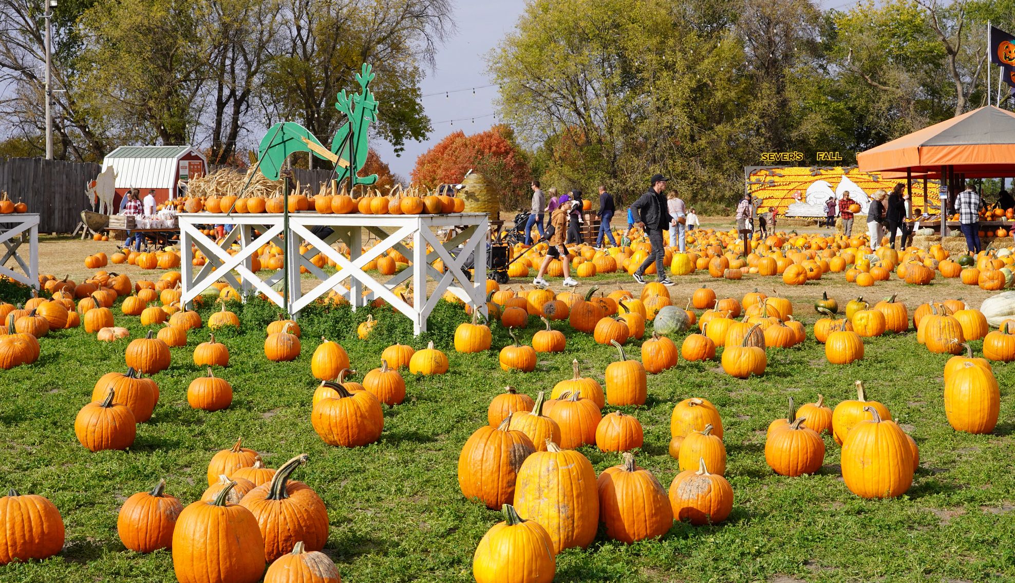 autumn harvest festival apple orchard road trip