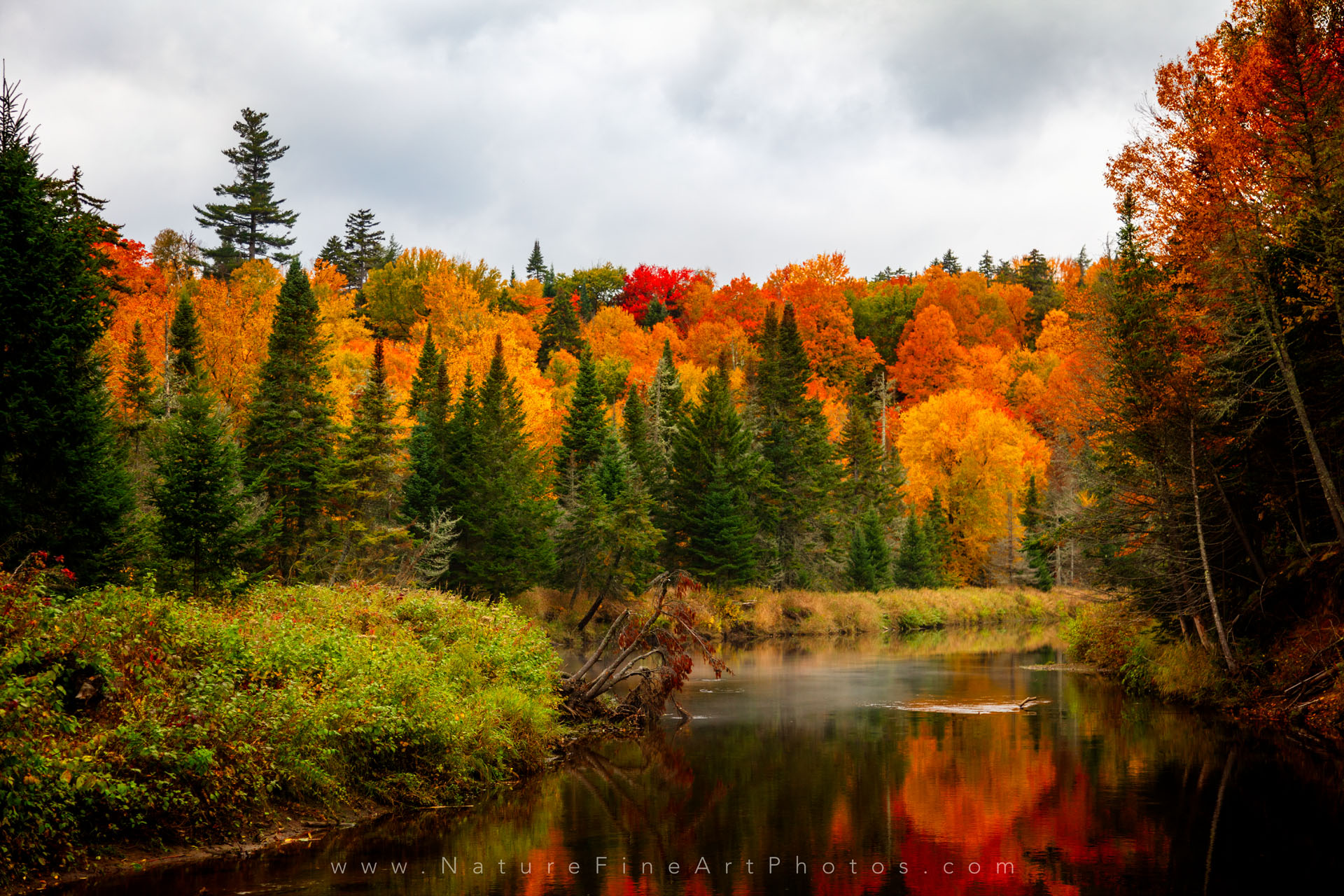 apple orchard New England fall foliage