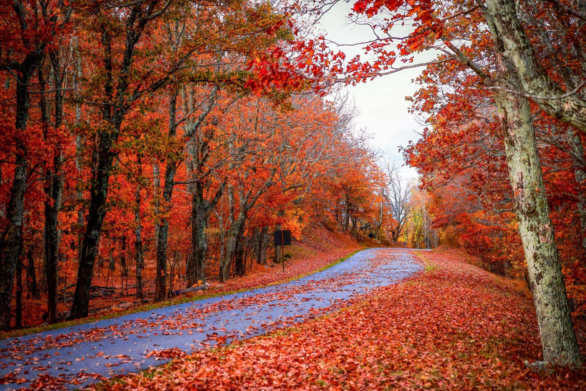 Blue Ridge Parkway autumn mountains