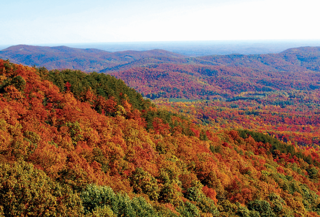 fall foliage scenic drive through Appalachian mountains