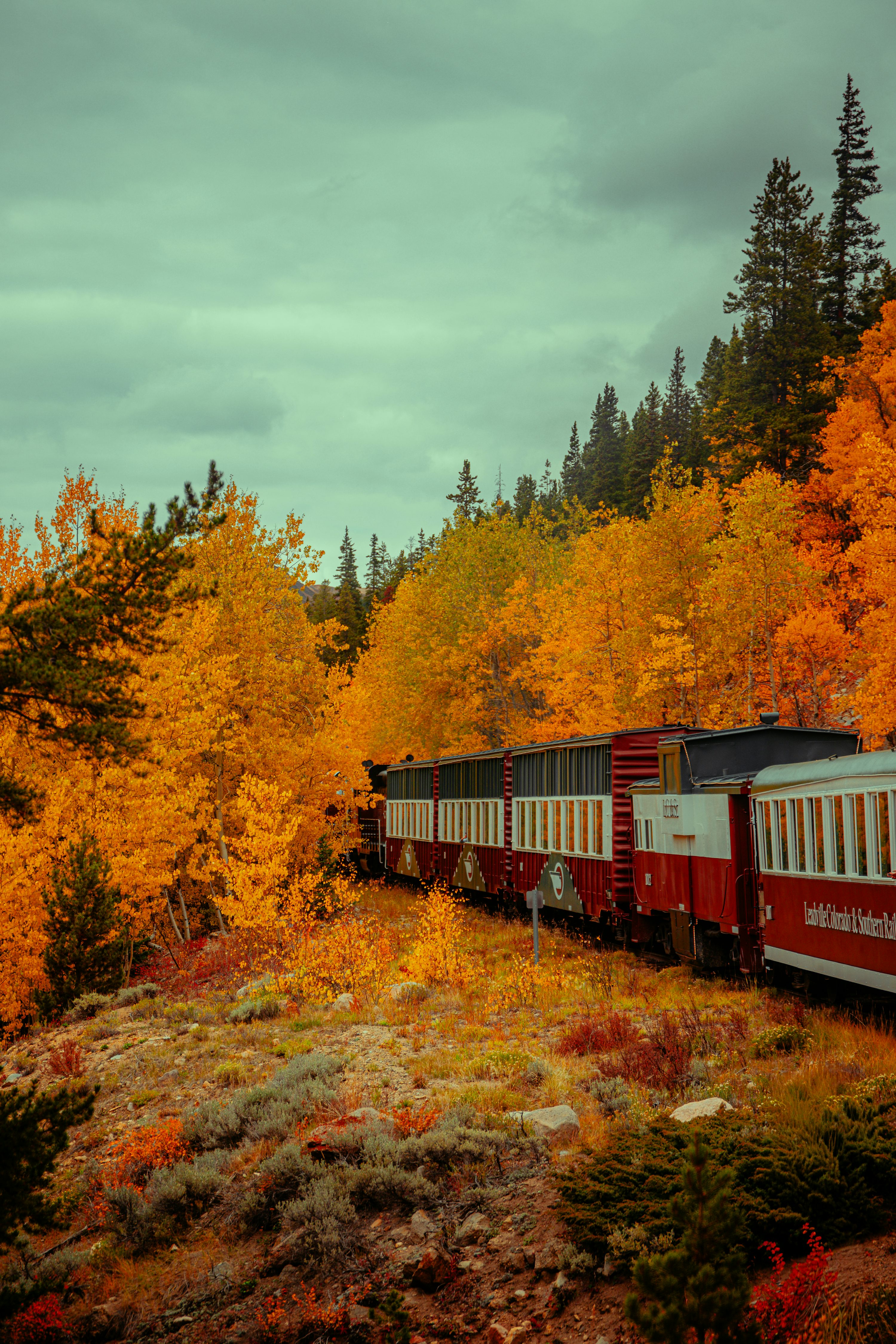 scenic train through autumn forest