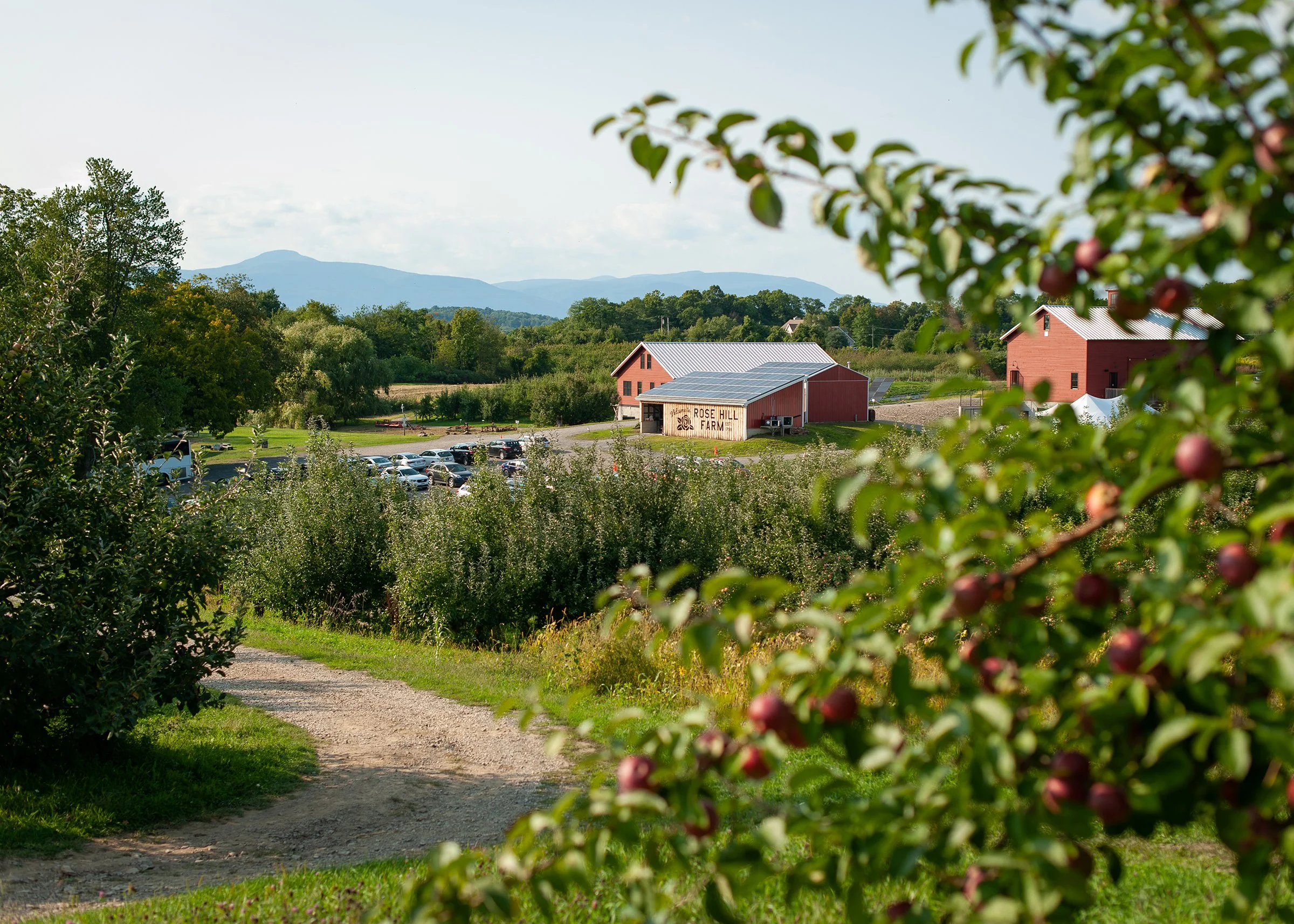 apple picking Hudson Valley orchard