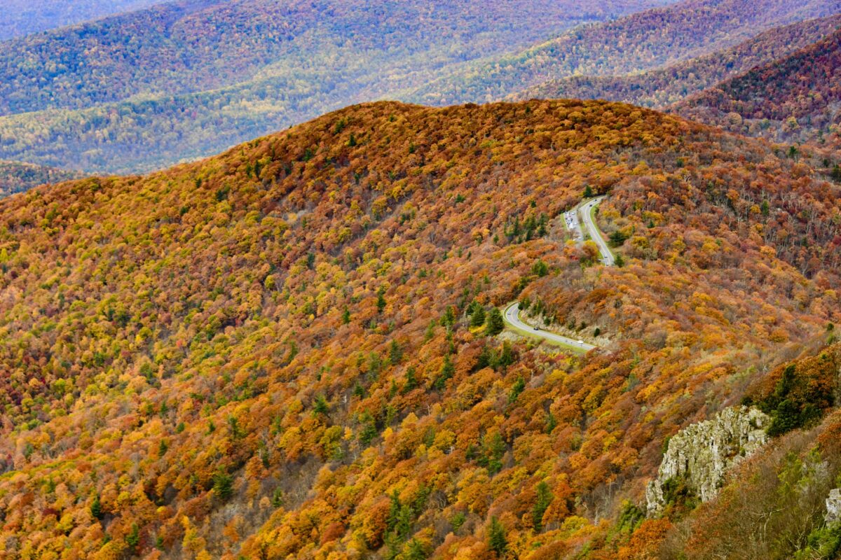 Skyline Drive overlook fall foliage Blue Ridge Mountains
