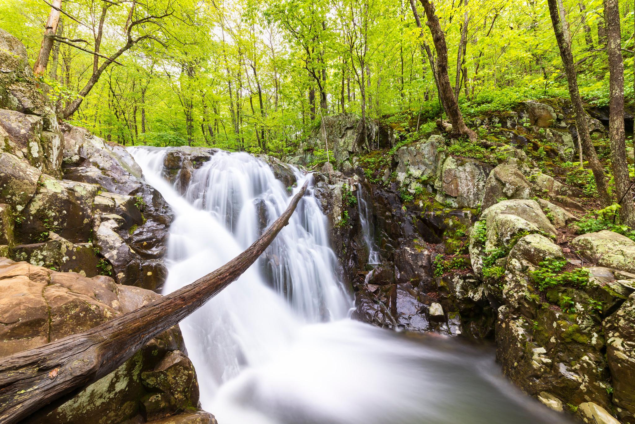 Shenandoah National Park ranger program fall