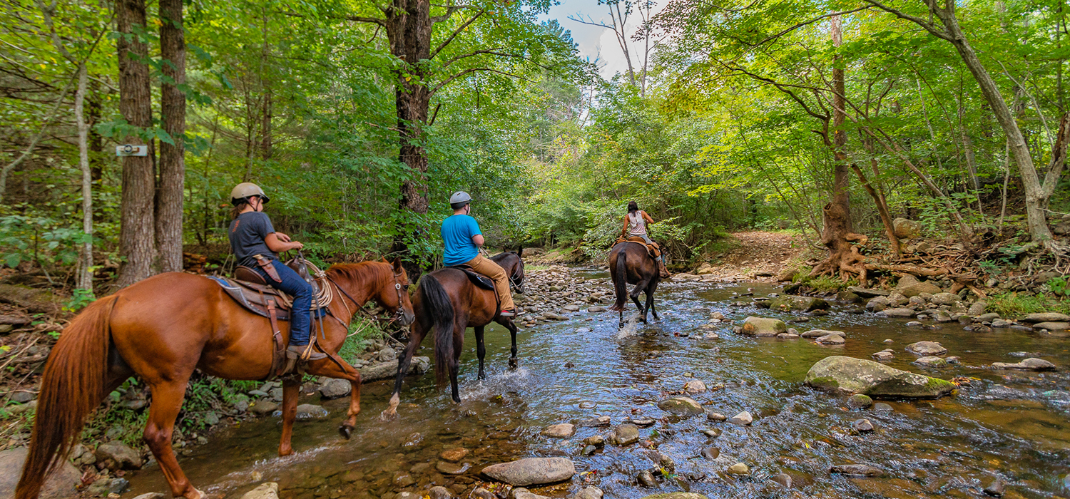 Shenandoah horseback riding fall foliage trail