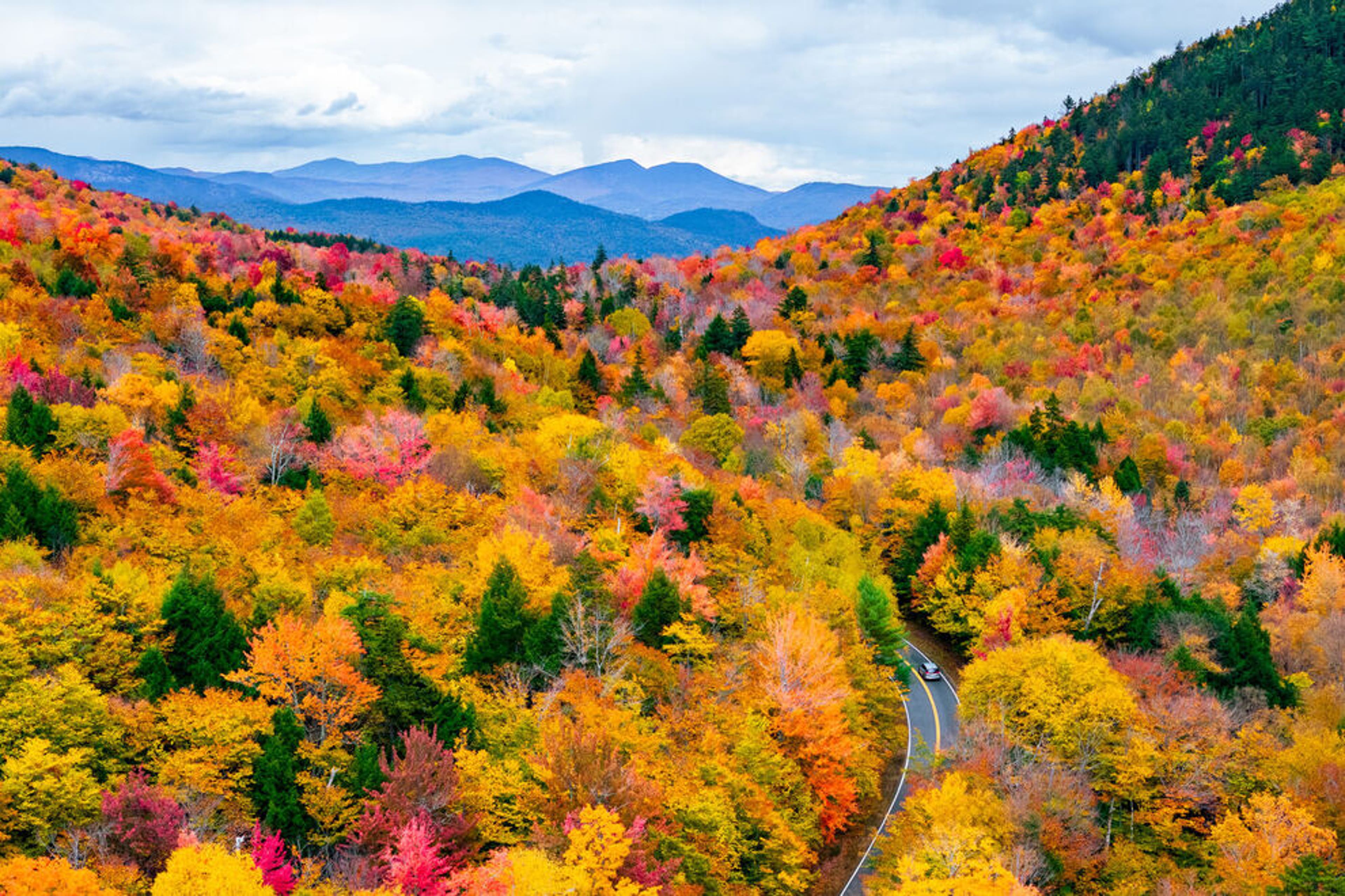 white mountains fall