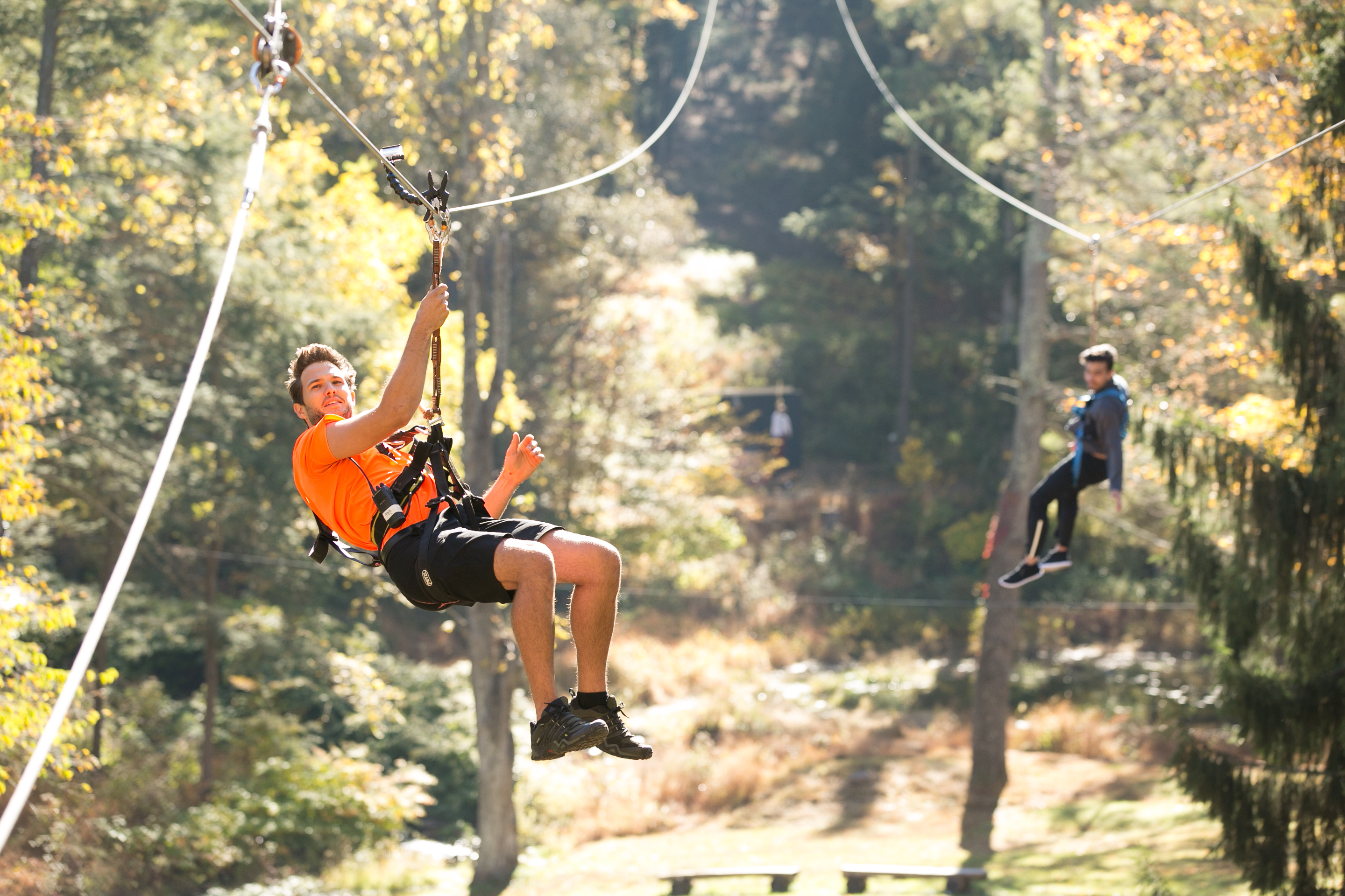 Pocono Mountains zipline autumn forest