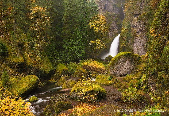 Columbia River Gorge waterfall fall foliage
