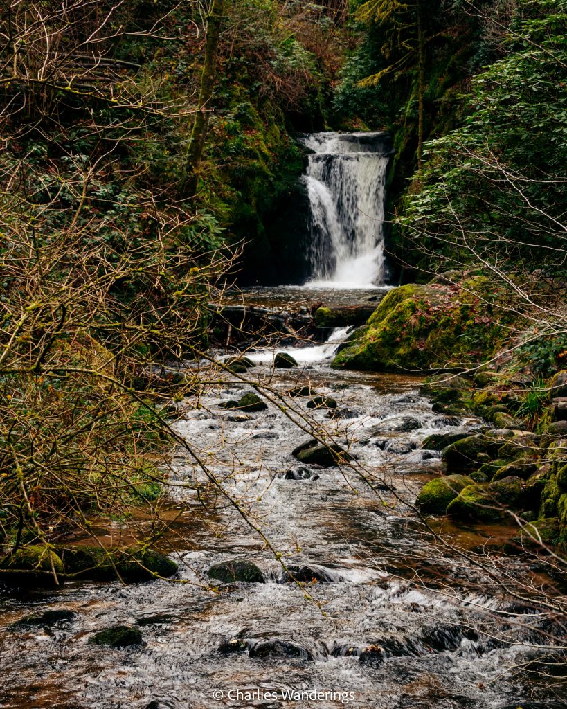 Geroldsauer Waterfall autumn beech forest Black Forest