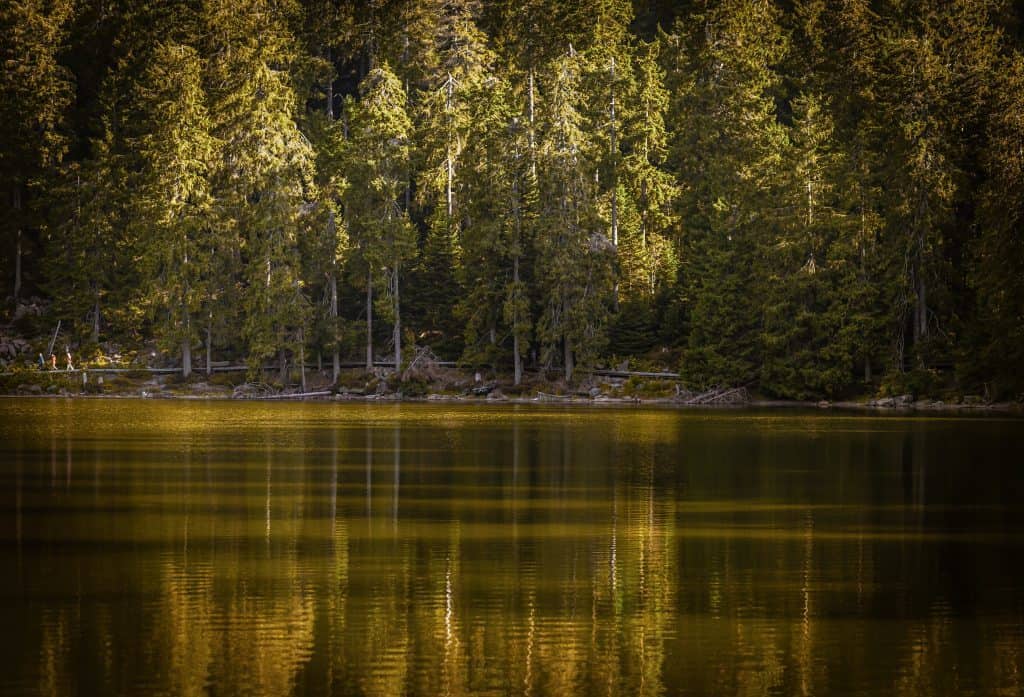 Mummelsee autumn lake reflection Black Forest mist