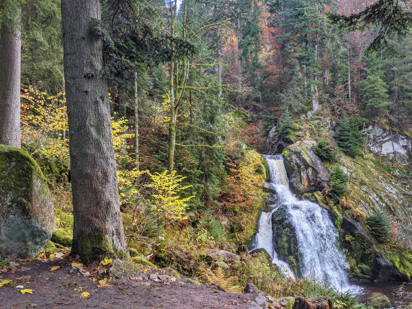 Triberg Waterfalls autumn cascades forest