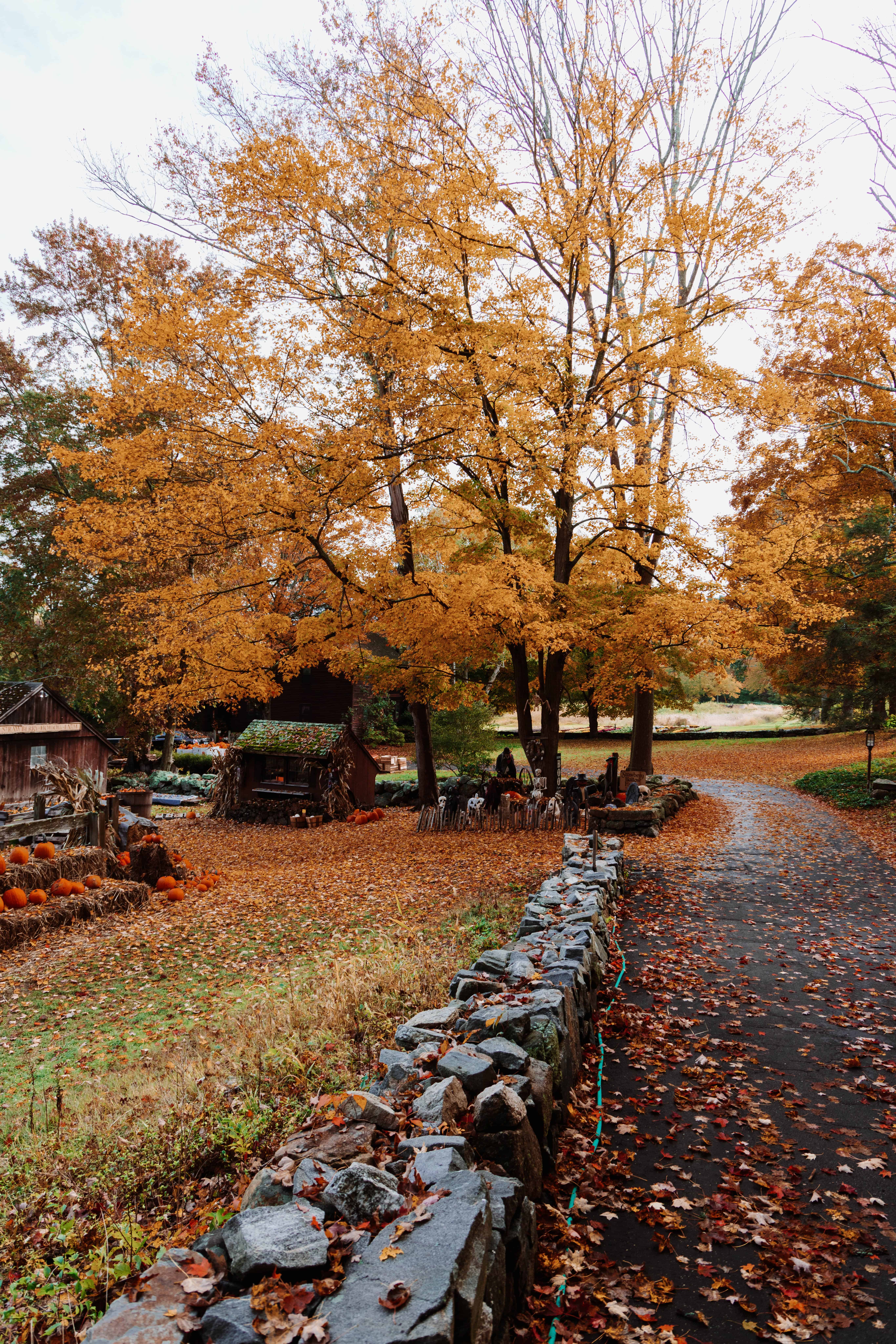 Litchfield Hills Connecticut fall foliage countryside